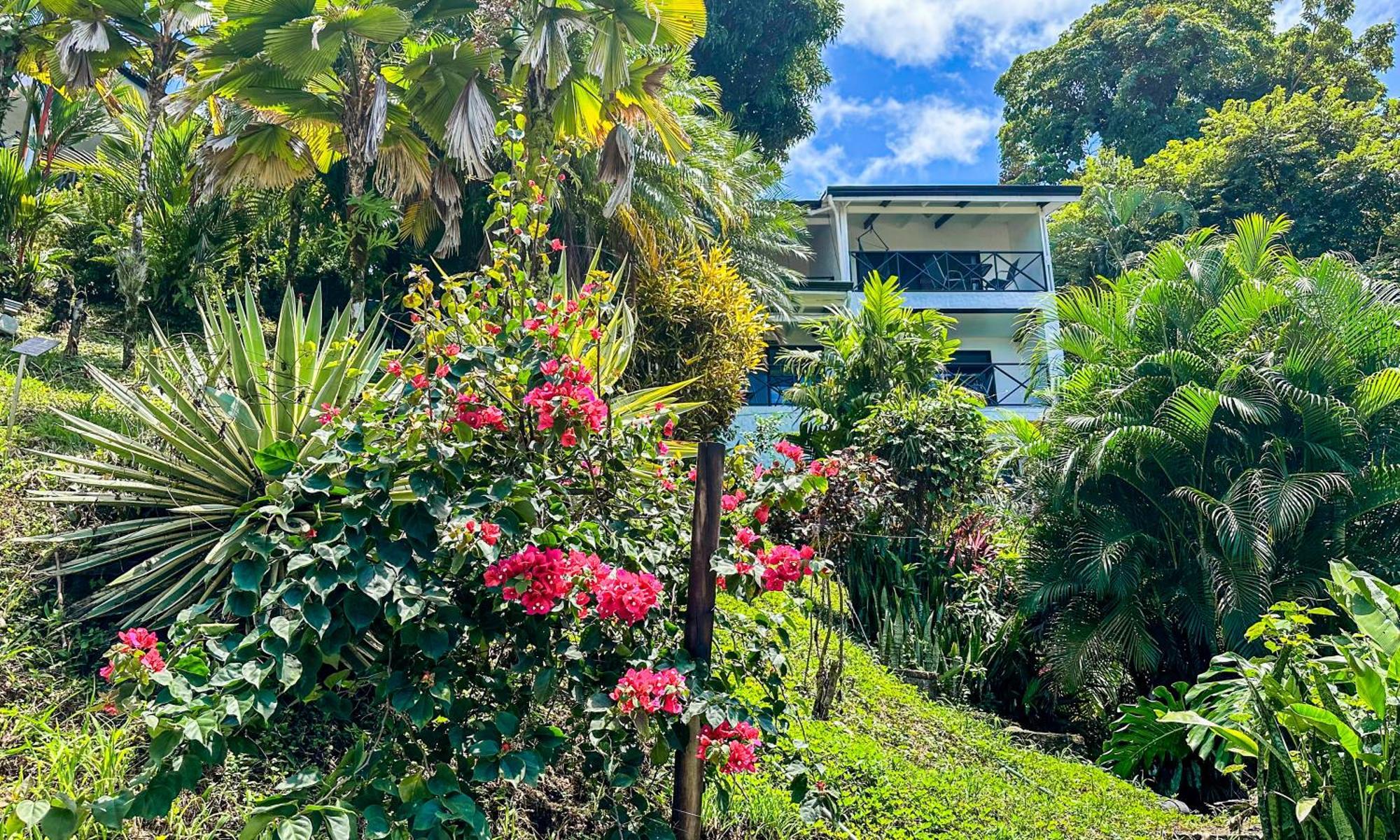 Roca Boutique & - Adult Only Manuel Antonio