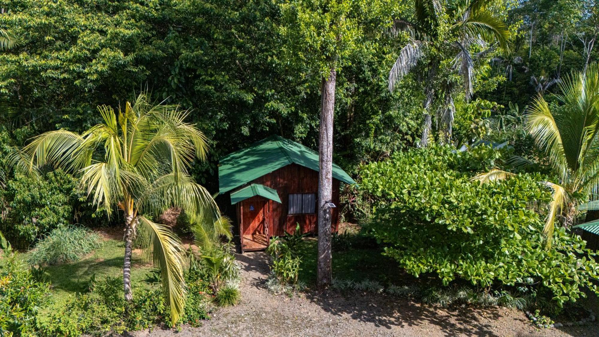 Citronela Corcovado Hotel Drake Bay