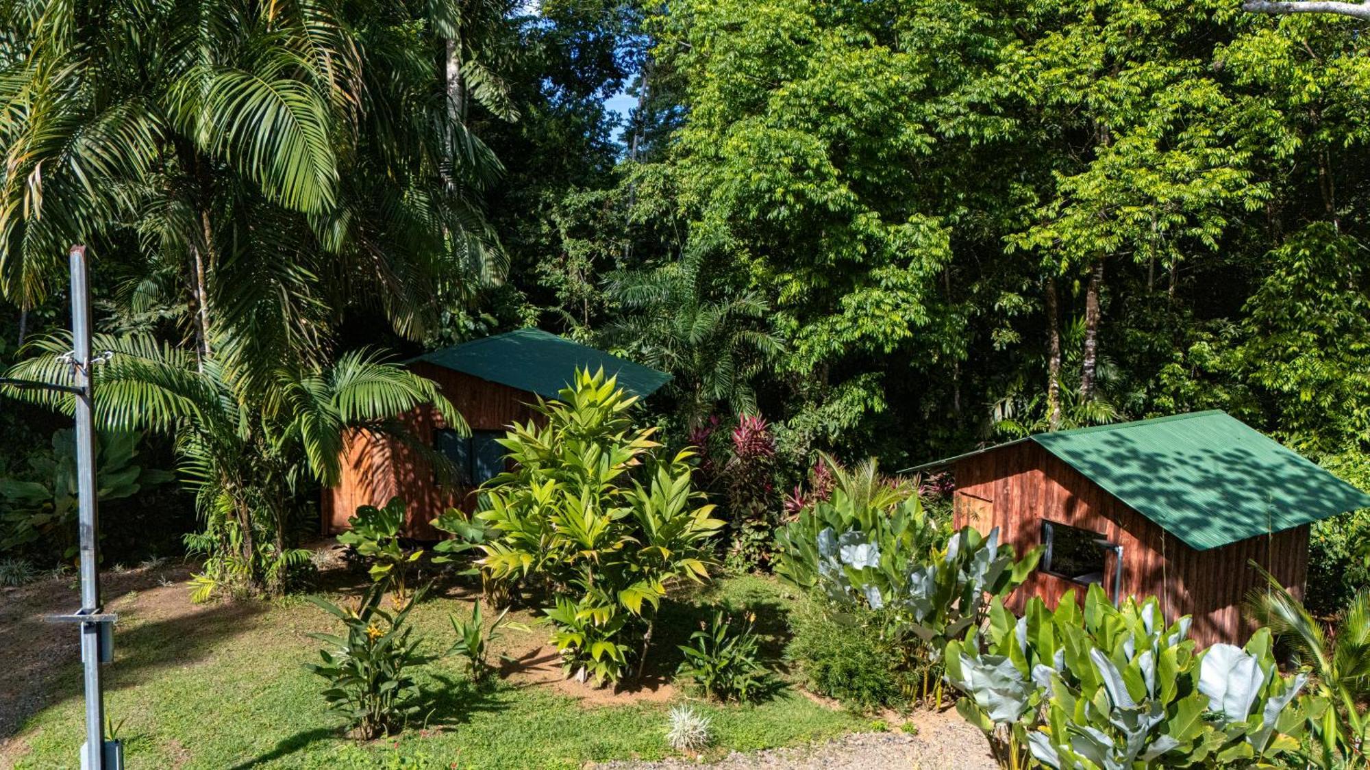 Hotel Citronela Corcovado Drake Bay