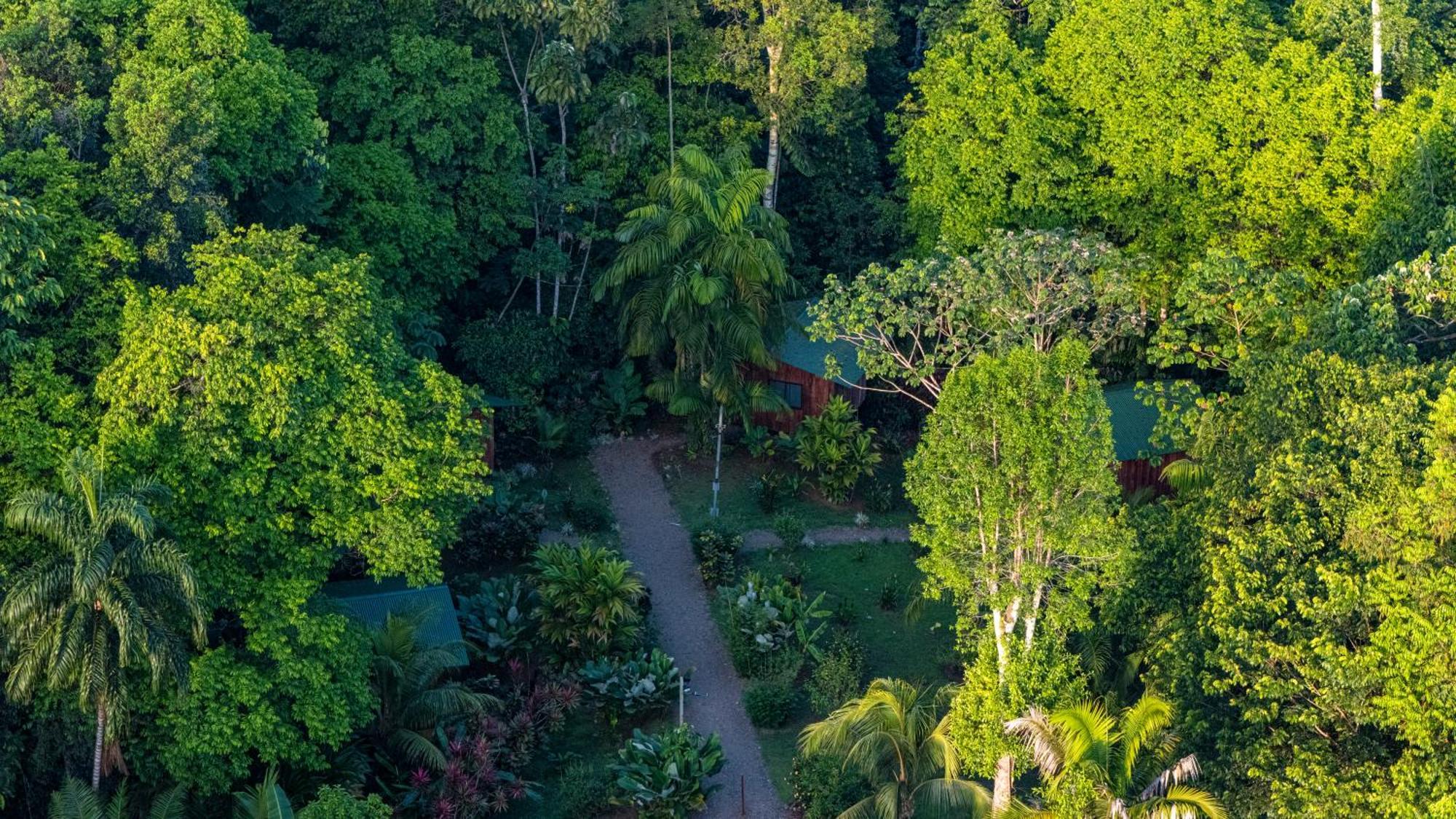 Hotel Citronela Corcovado