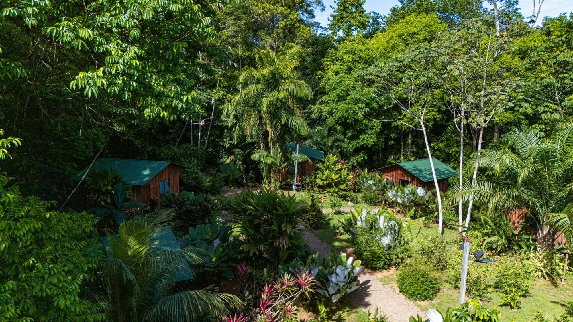 Citronela Corcovado Hotel Drake Bay