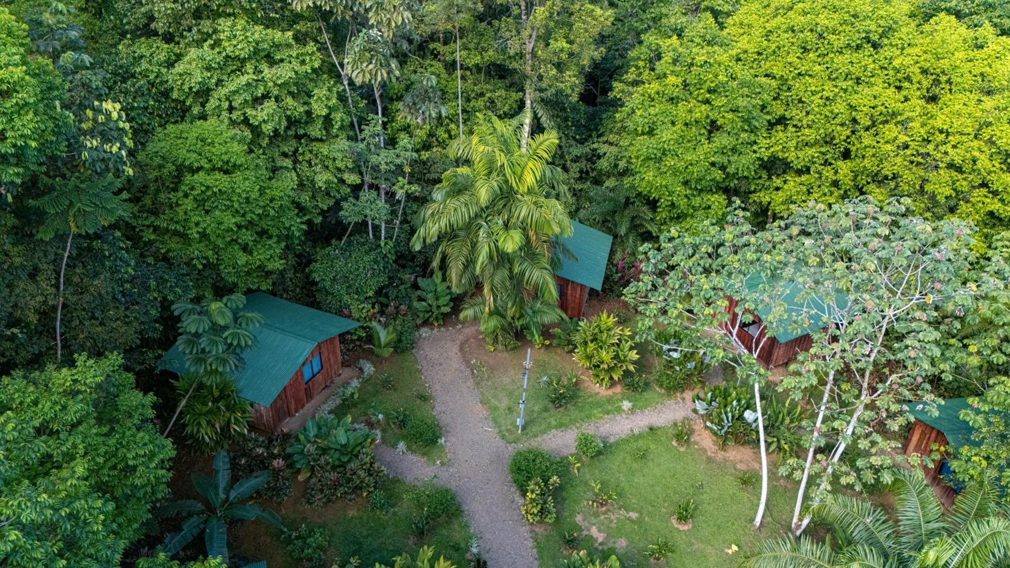 Hotel Citronela Corcovado Drake Bay