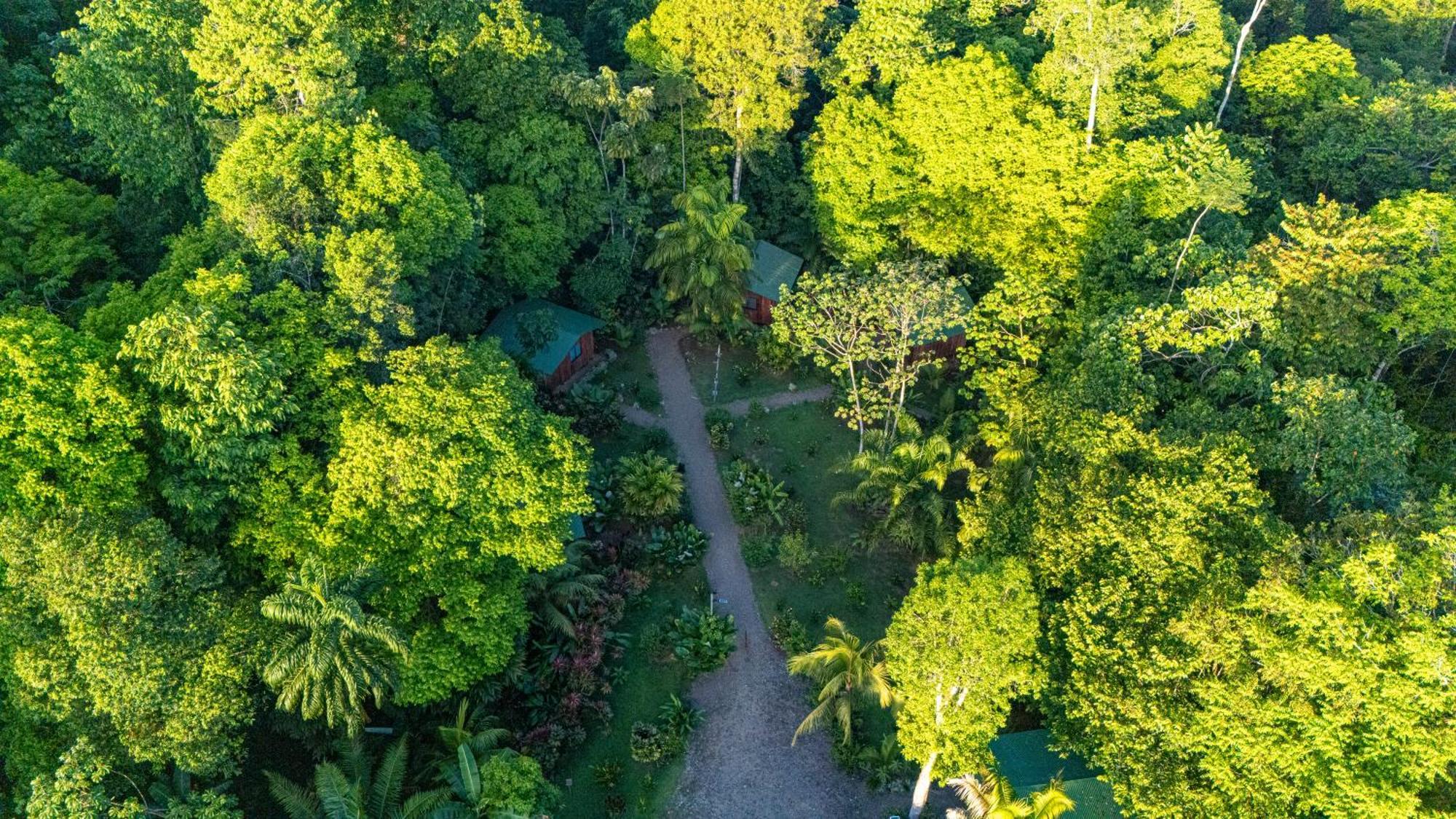Citronela Corcovado Hotel