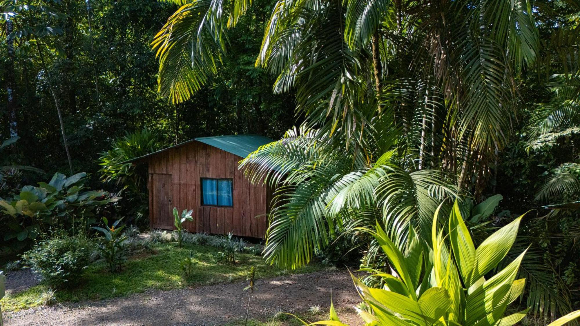 Hotel Citronela Corcovado