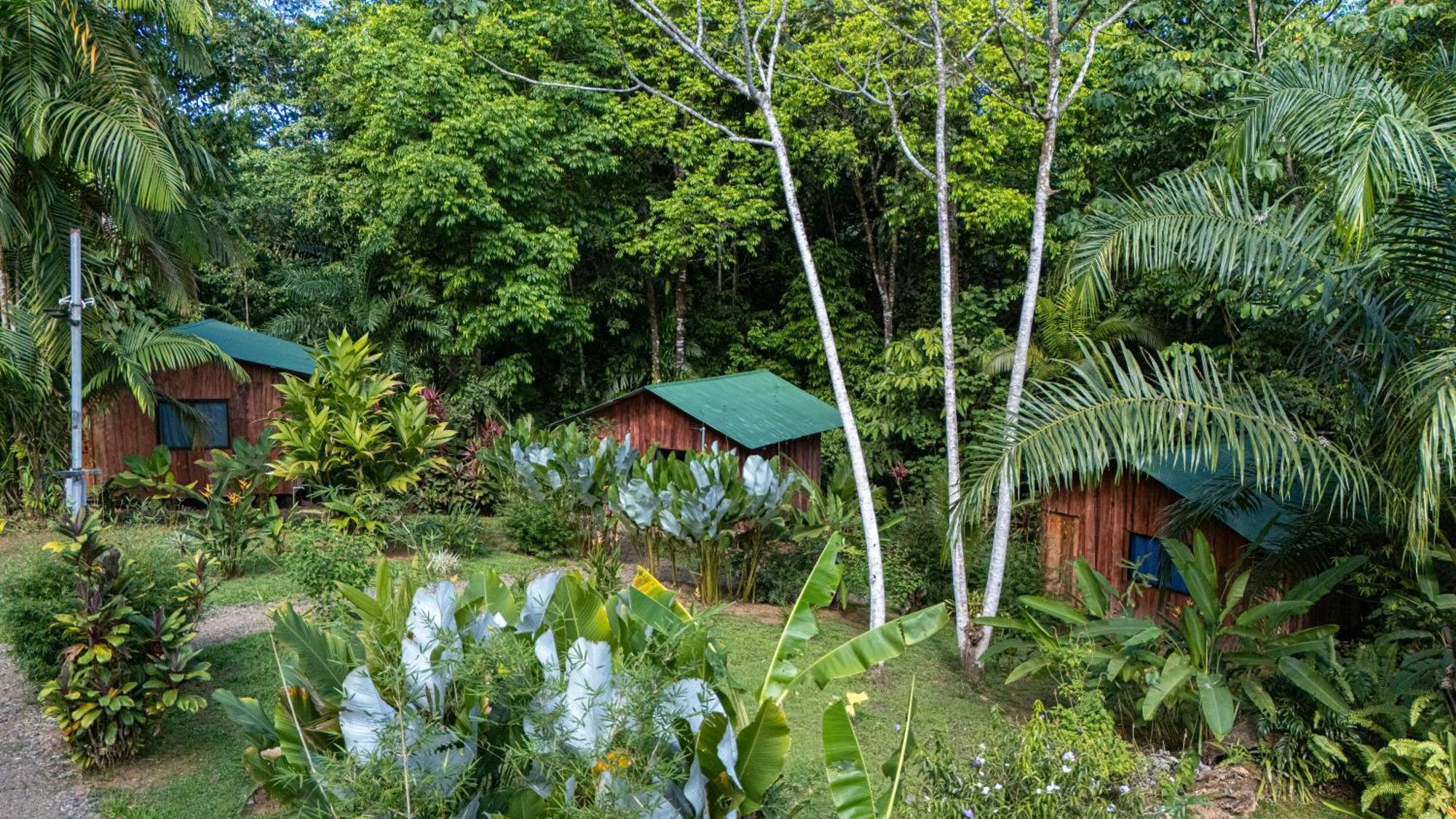 Hotel Citronela Corcovado Drake Bay