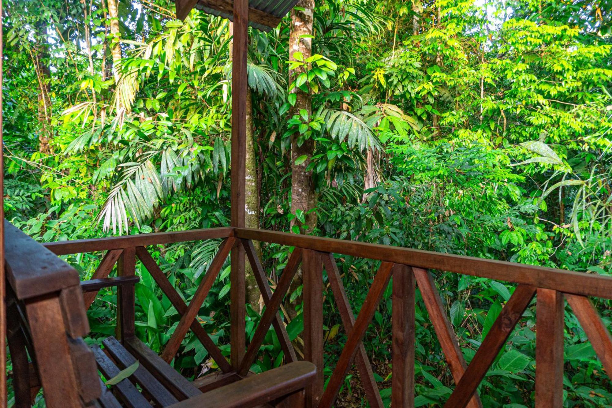 Citronela Corcovado Hotel 2*