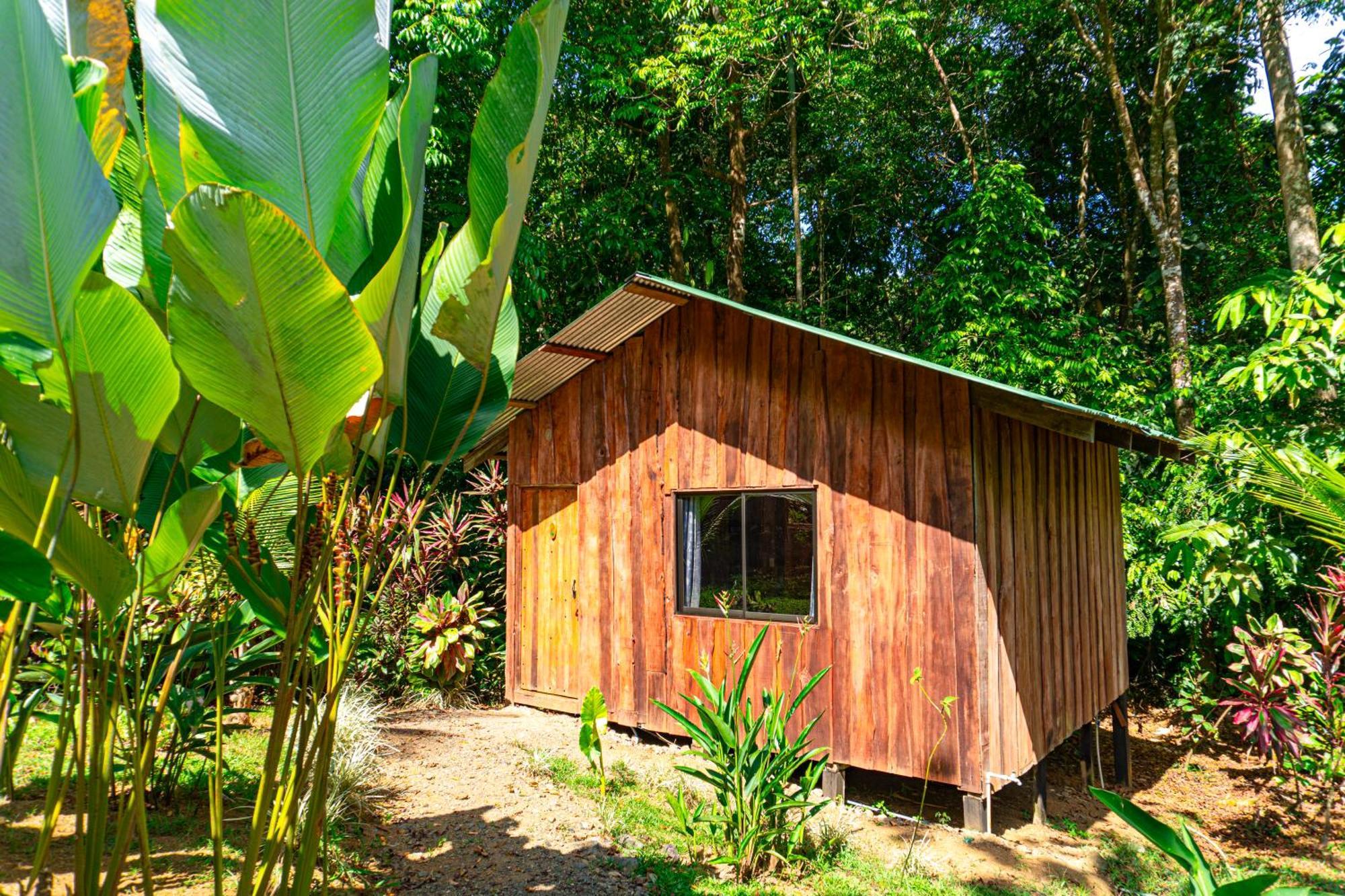 Citronela Corcovado 2* Drake Bay
