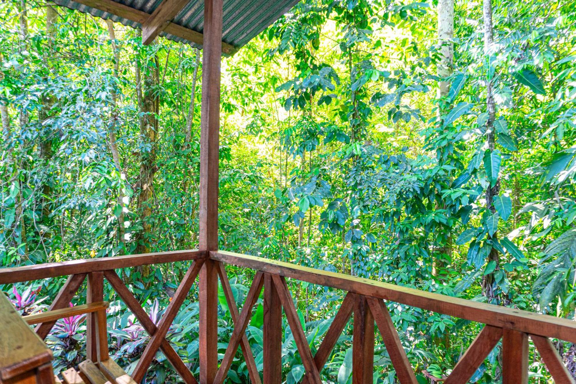 Hotel Citronela Corcovado Drake Bay