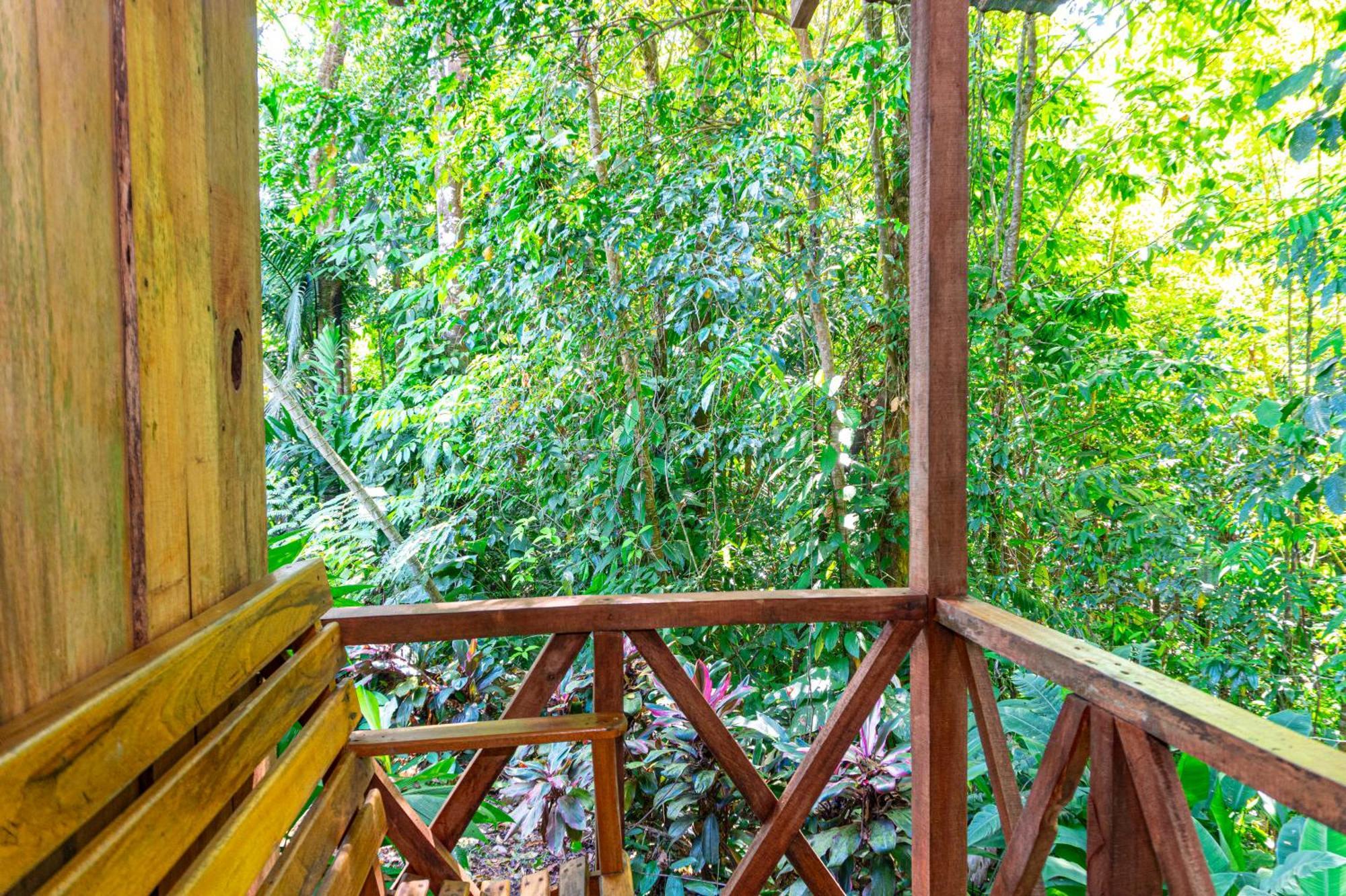 Hotel Citronela Corcovado Drake Bay