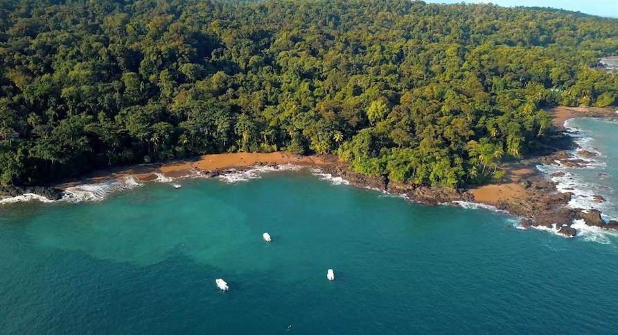 Copa De Arbol & Rainforest 5* Drake Bay