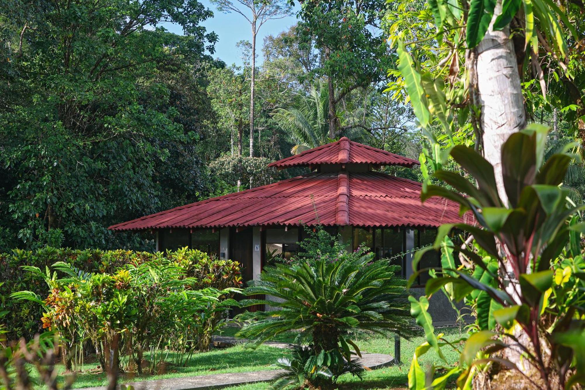 Corcovado Wilderness By Scp