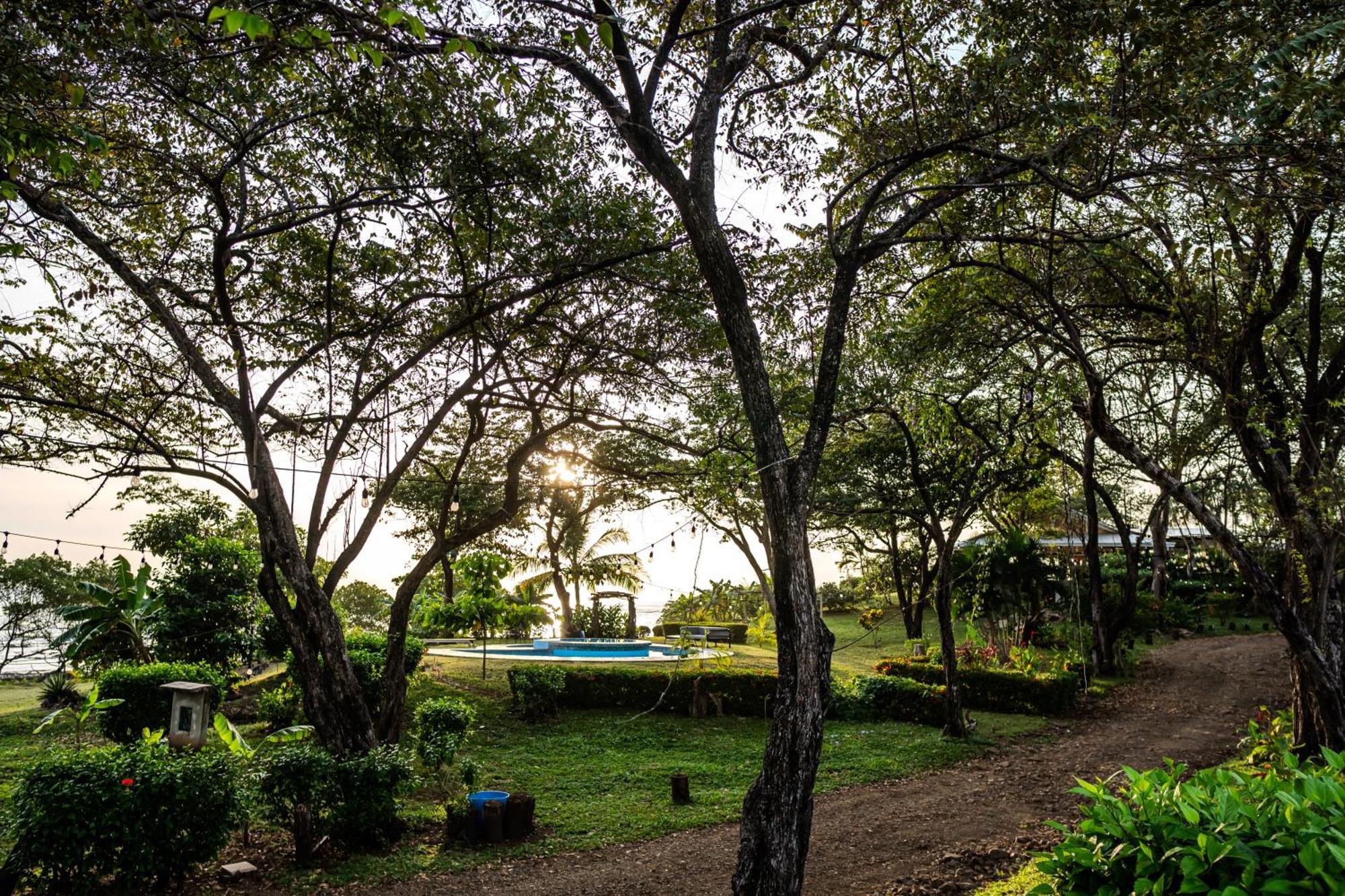 The Bohemian Lagarto * Santa Cruz (Guanacaste)