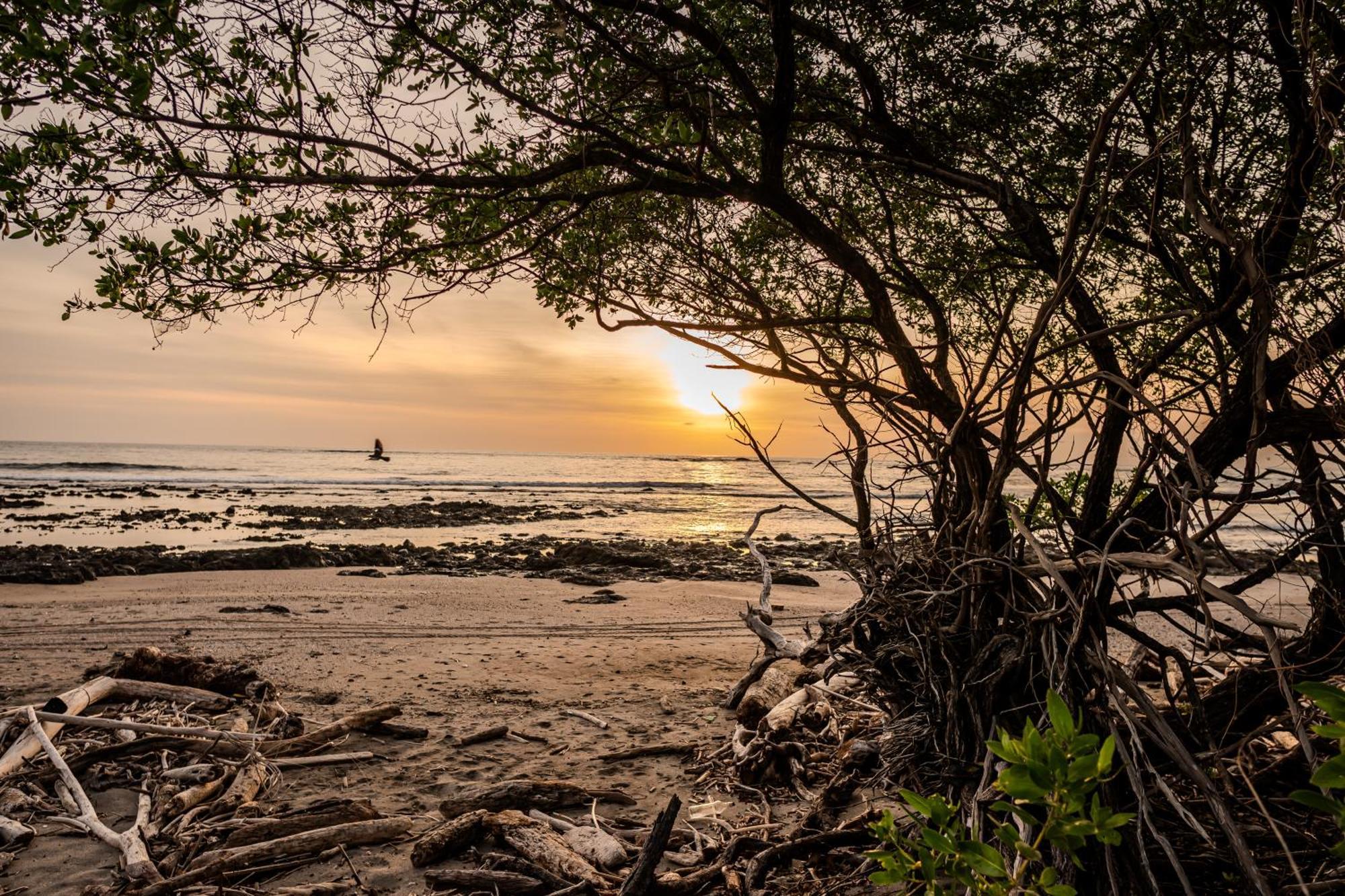 The Bohemian Lagarto Santa Cruz (Guanacaste)