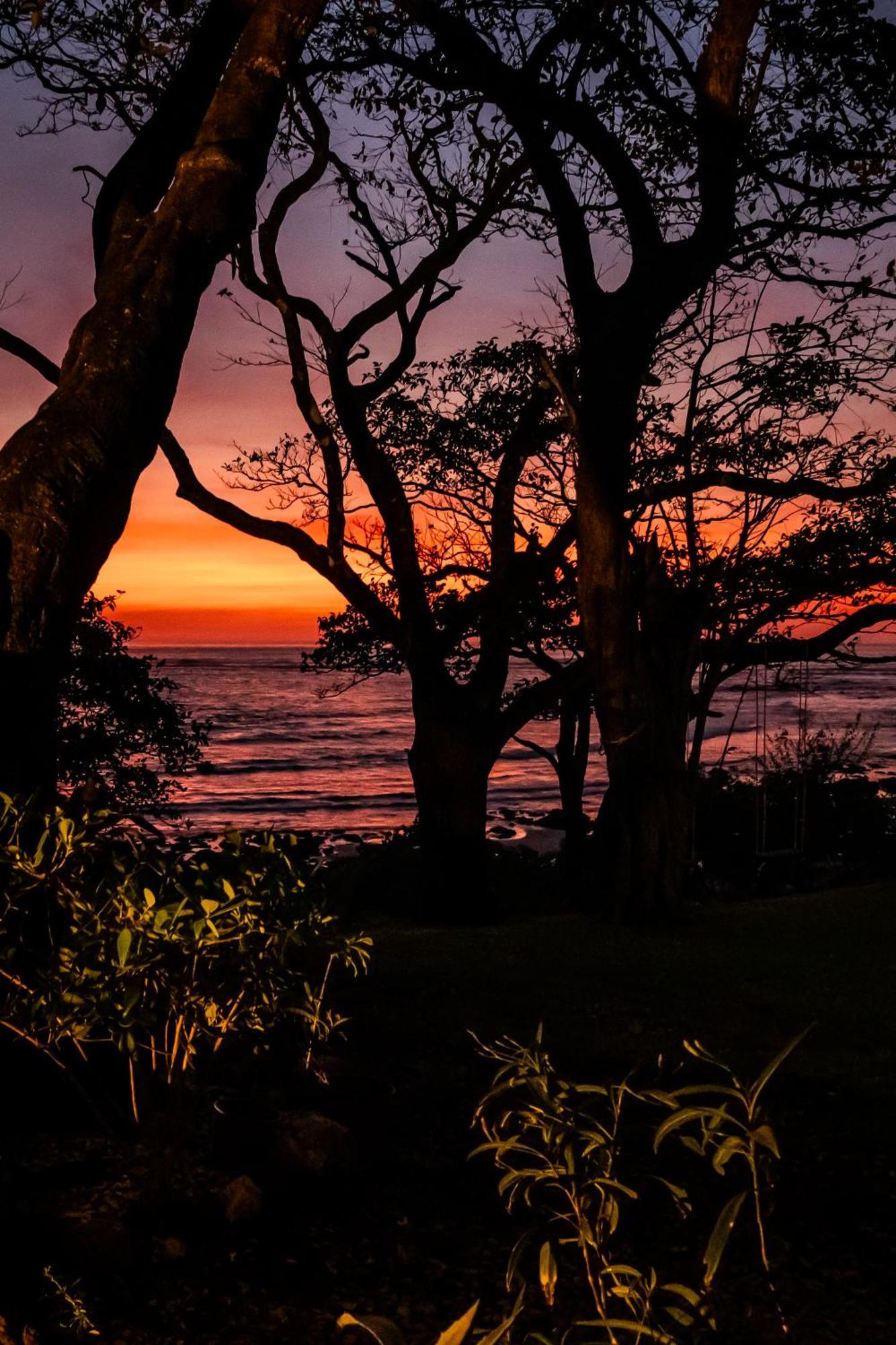 Hotel The Bohemian Lagarto Santa Cruz (Guanacaste)