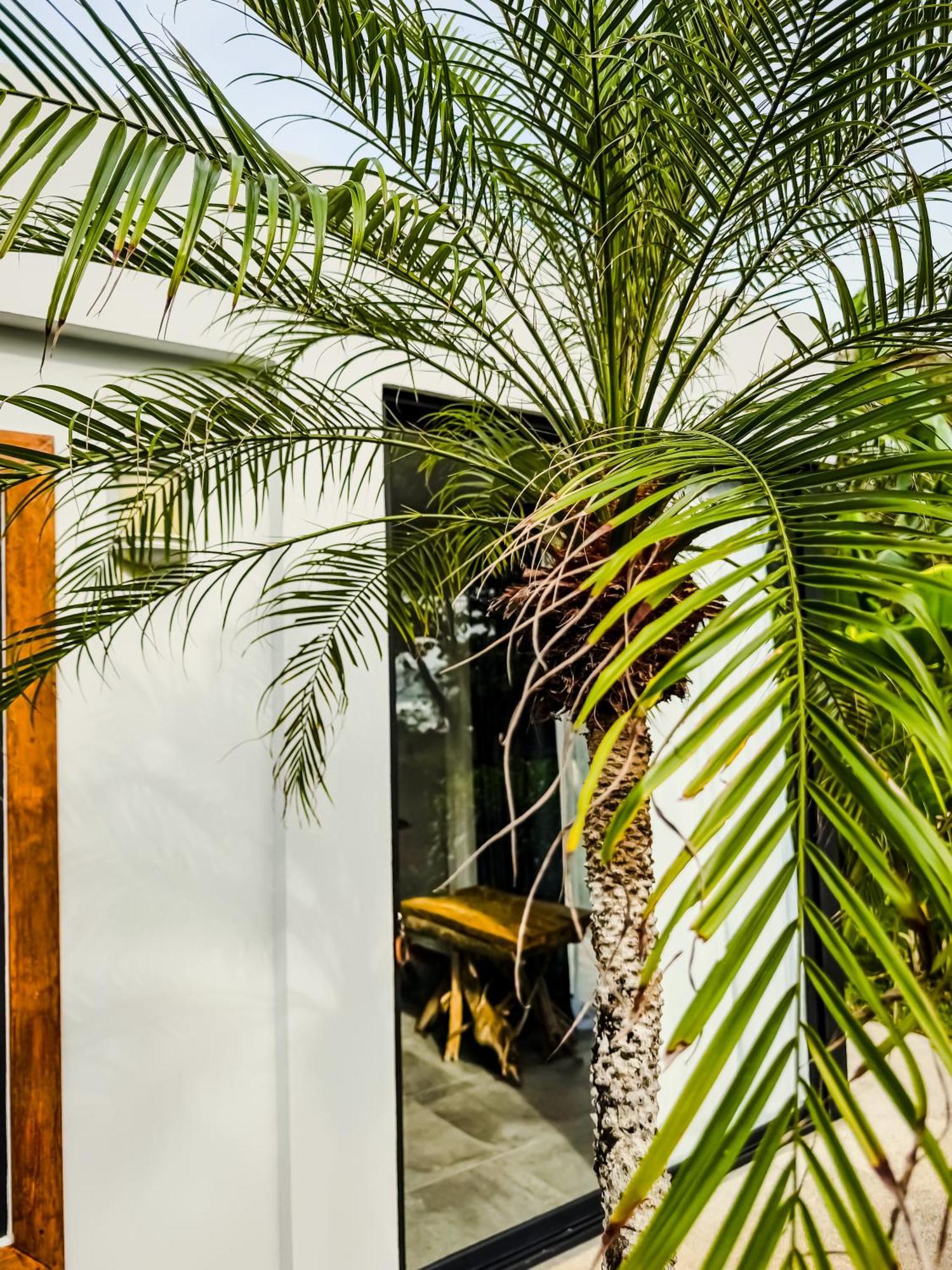 The Bohemian Lagarto Hotel *