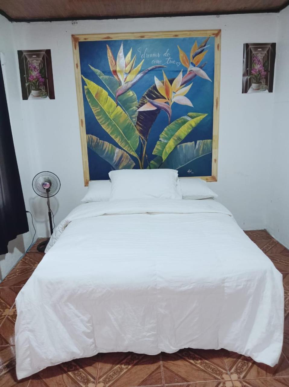 Hostel Blackout La Fortuna