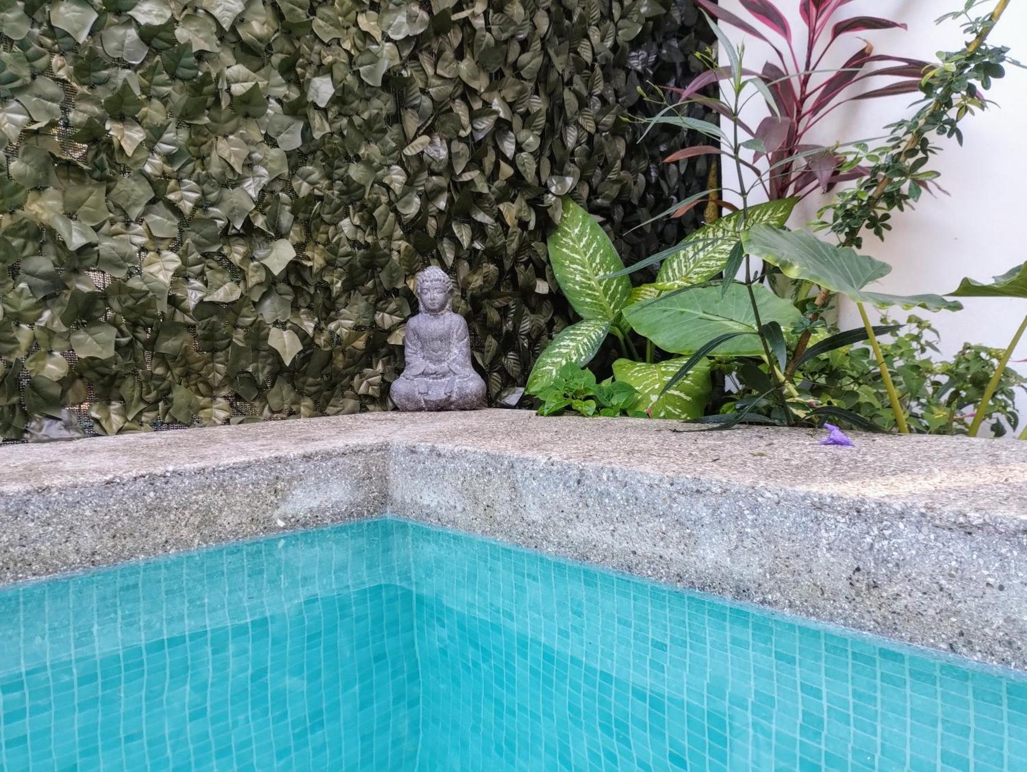 Casajungla *