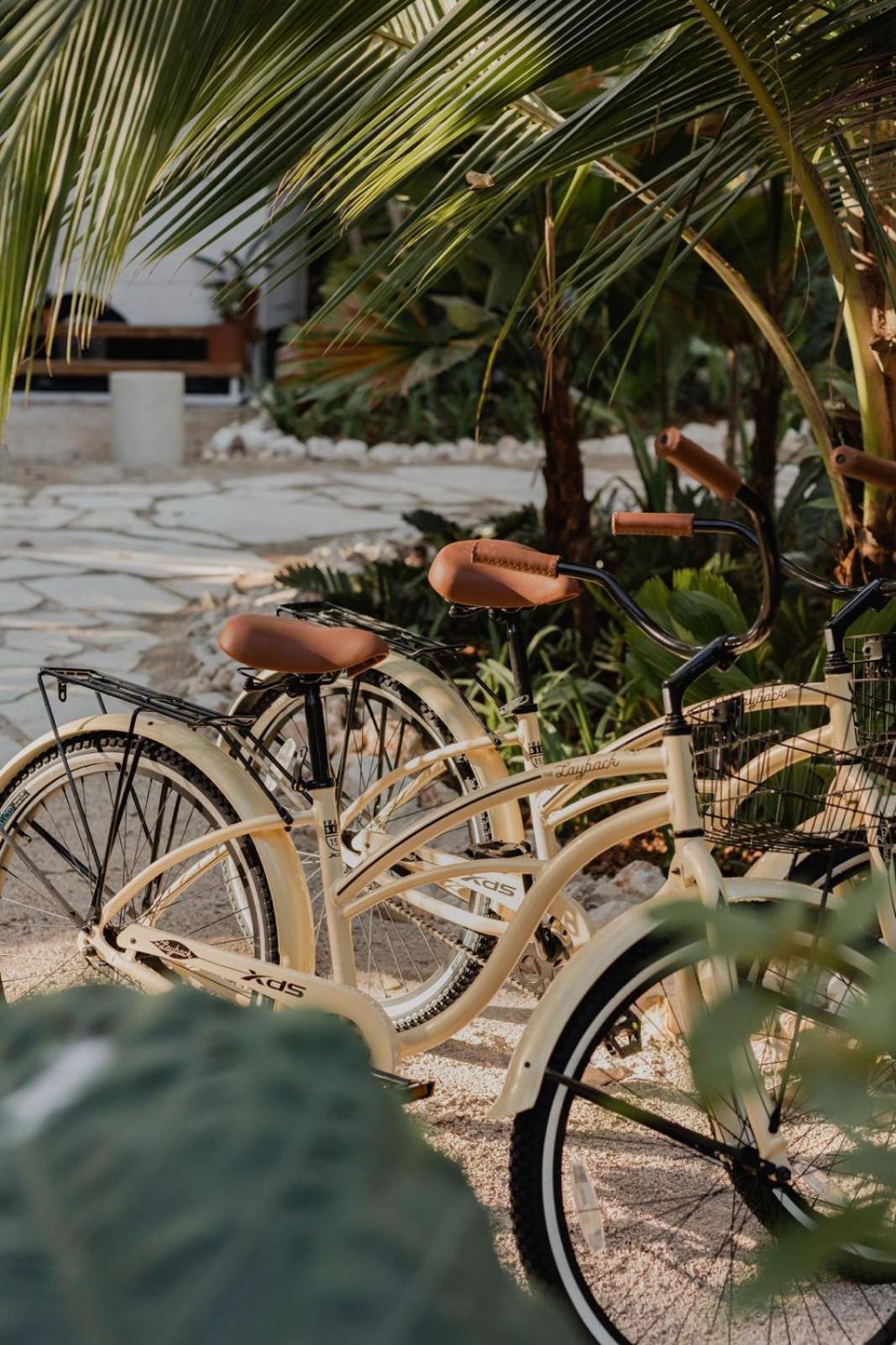 Hotel Sendero Nosara