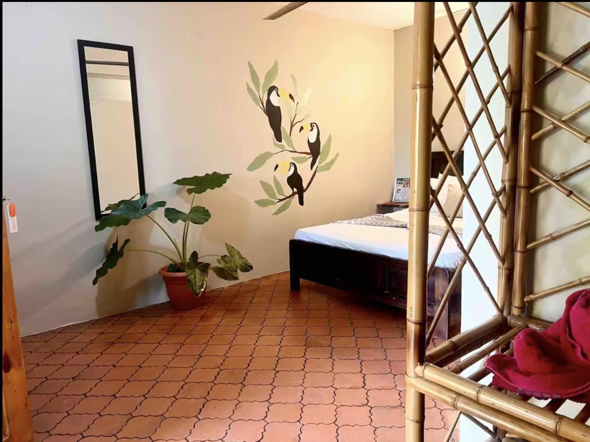 Bed & Breakfast Sea View Lots Of Animals Friendly Hosts Manuel Antonio