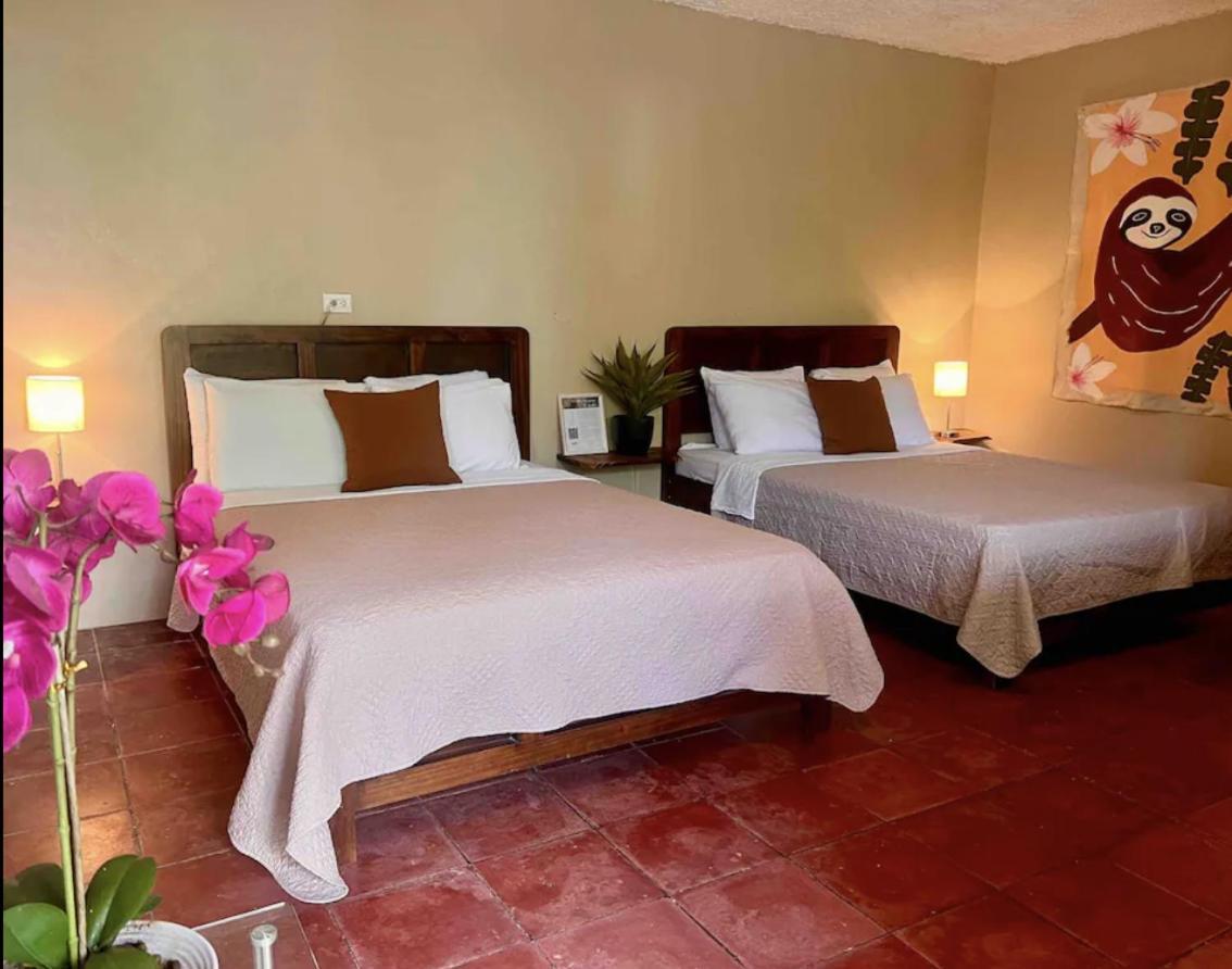 Bed & Breakfast Sea View Lots Of Animals Friendly Hosts Manuel Antonio