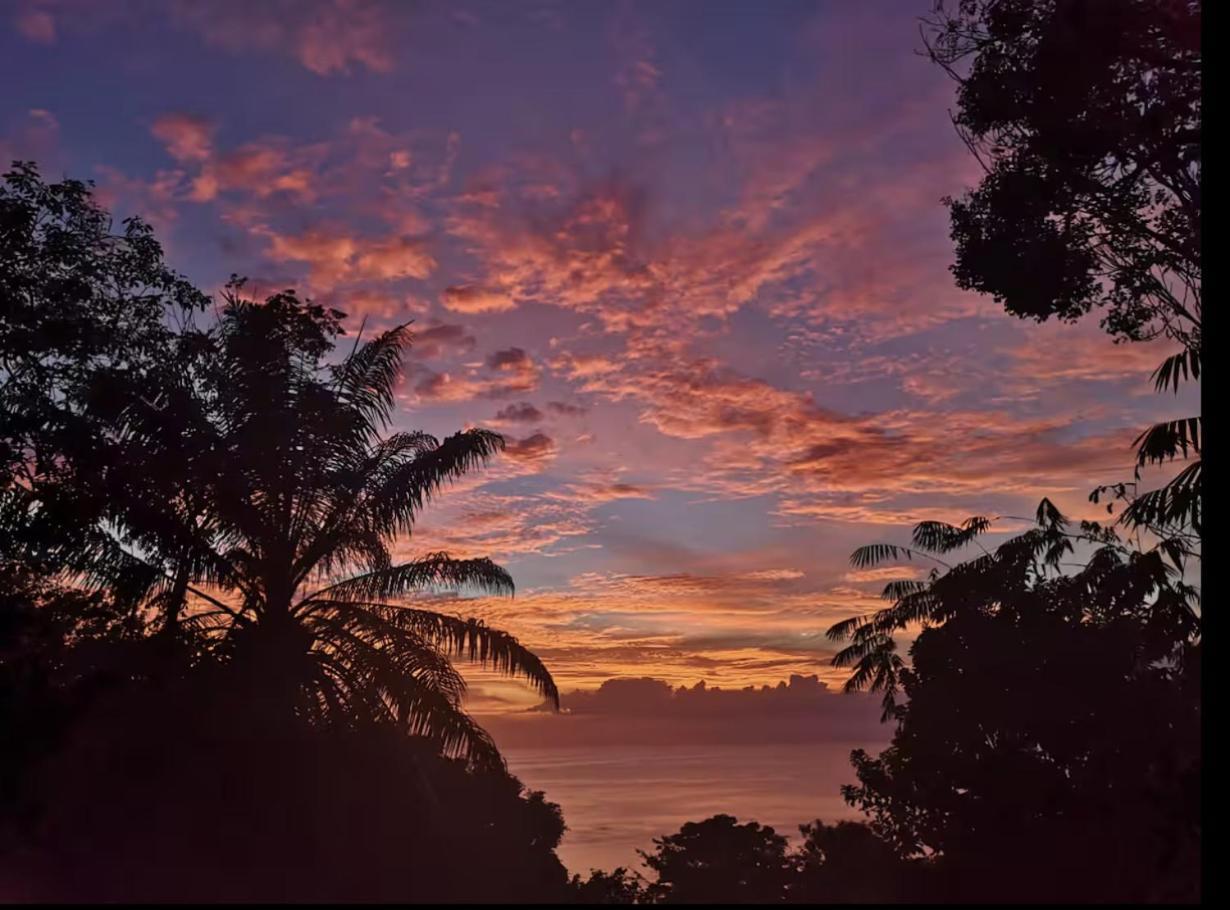 Sea View Lots Of Animals Friendly Hosts Bed & Breakfast Manuel Antonio