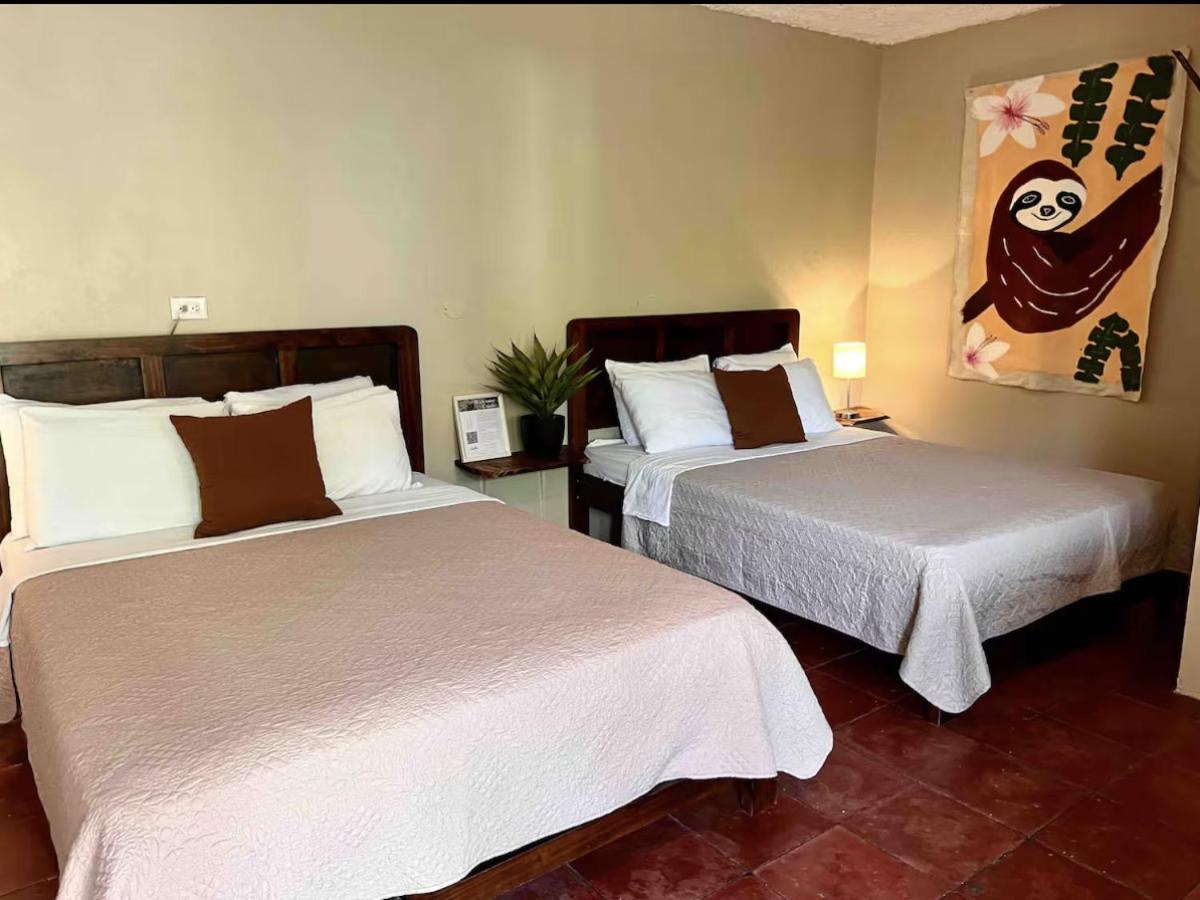 Sea View Lots Of Animals Friendly Hosts Manuel Antonio