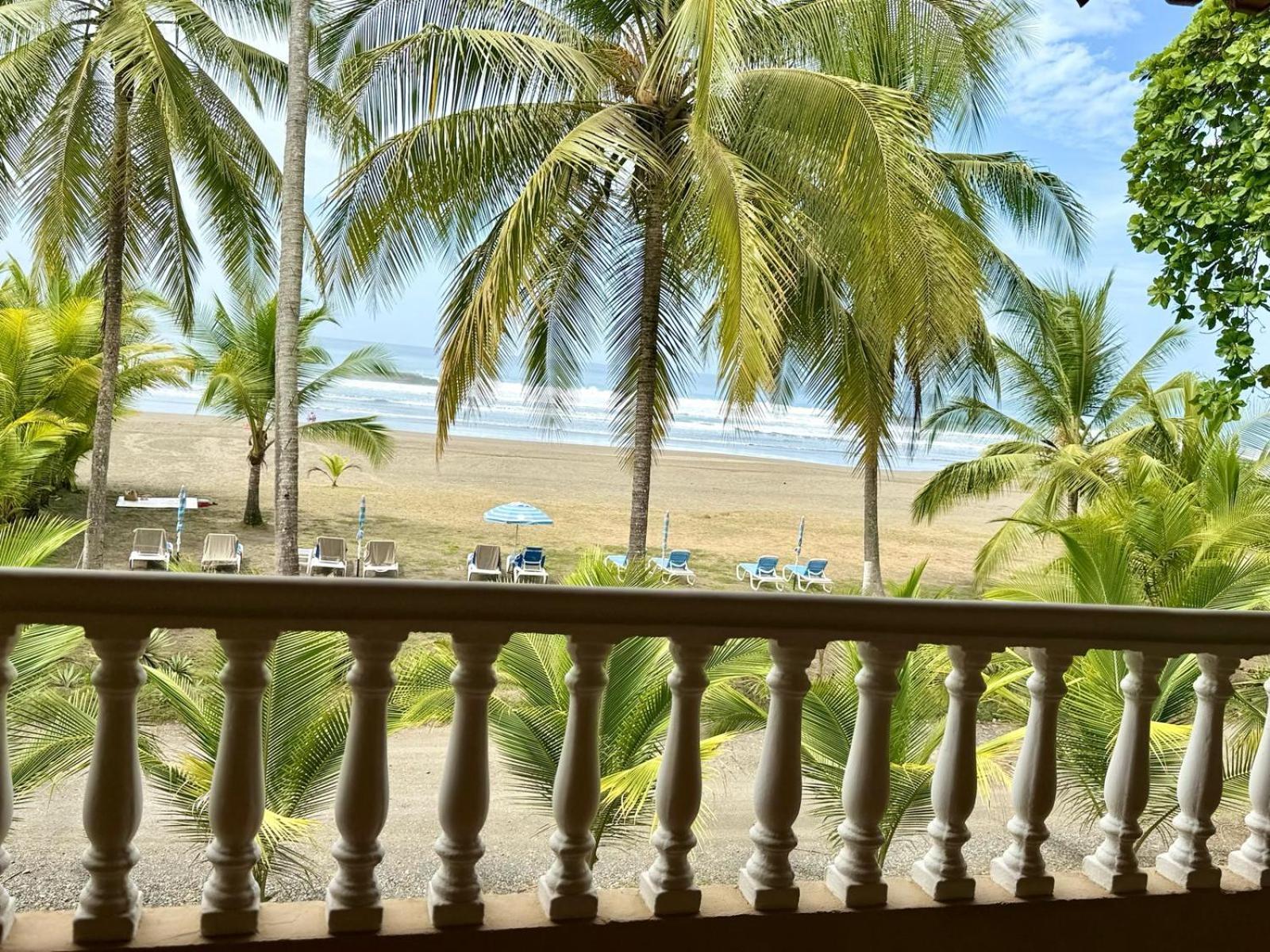 Delfin Playa Bejuco