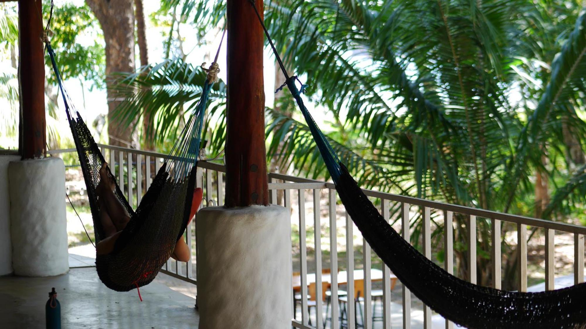 Ocean View Guest house *