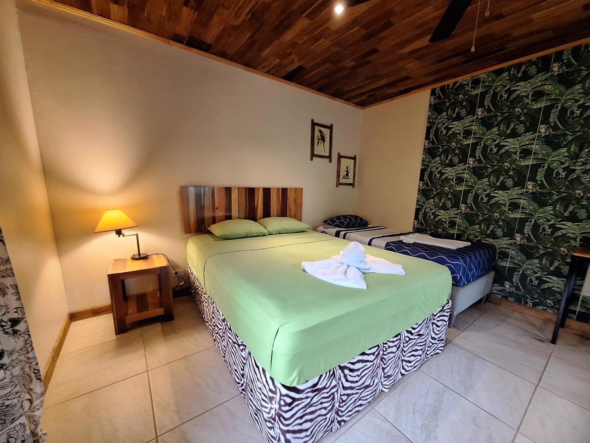 Birding Corcovado Eco Holiday home Puerto Jimenez