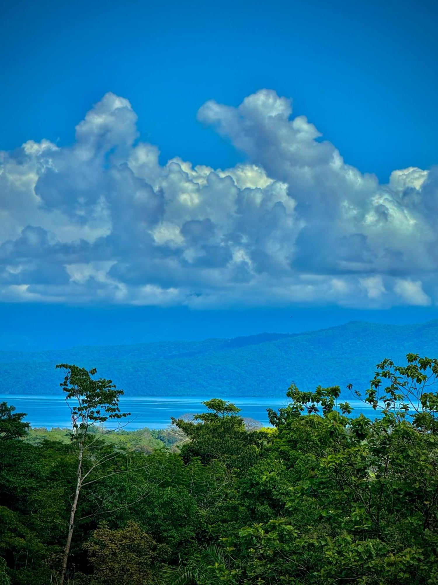 Holiday home Birding Corcovado Eco