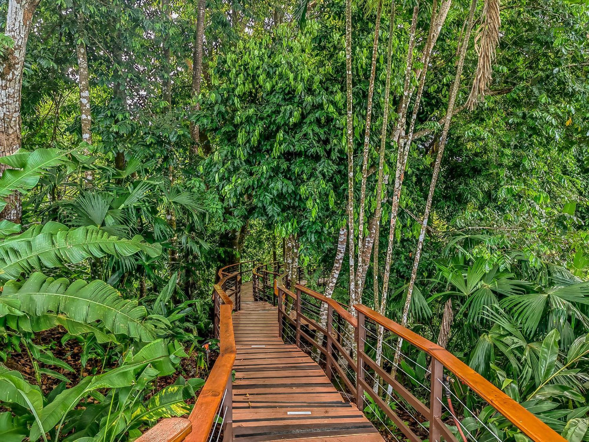 Resort Lapa Rios By Boeena