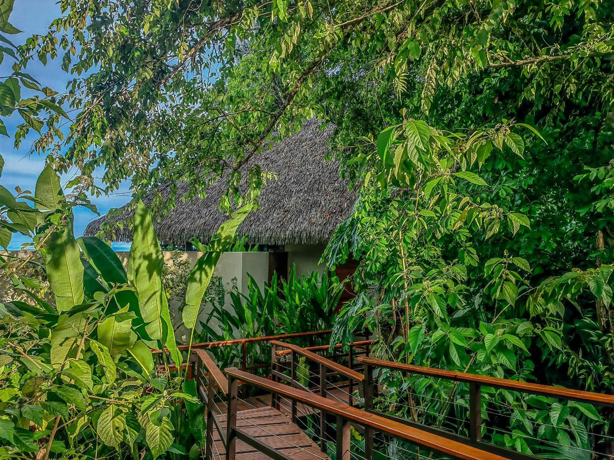 Lapa Rios By Boeena Puerto Jimenez