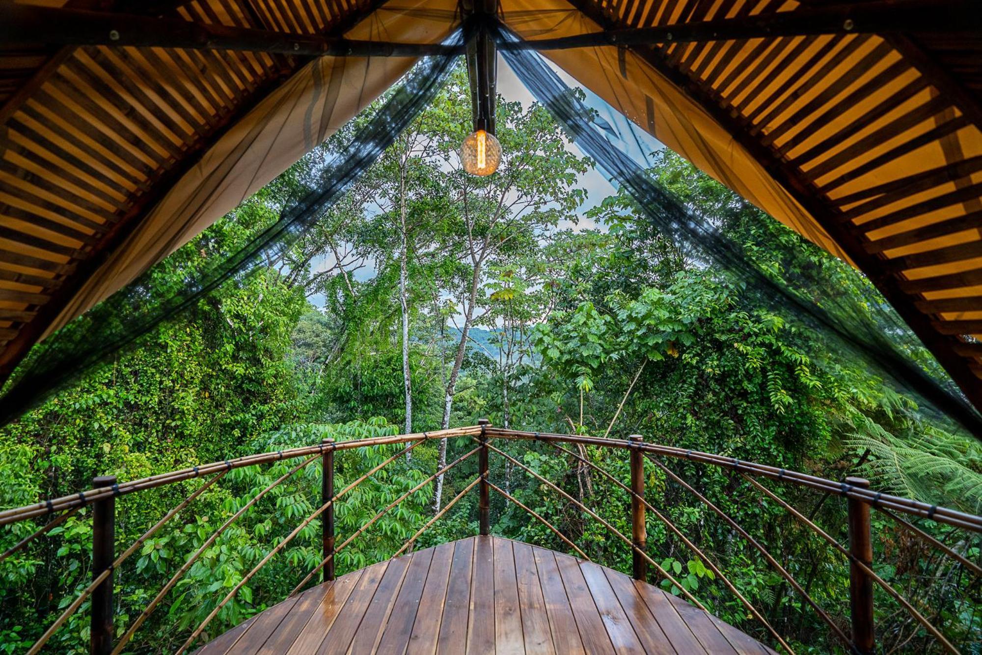 Resort Jungle Gayborhood San Luis (Osa, Puntarenas)