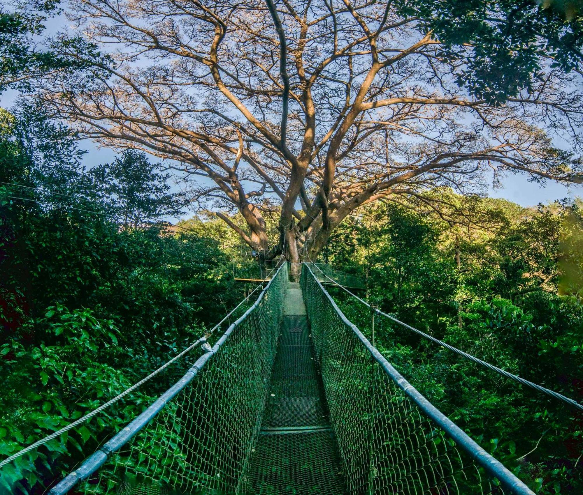 Buena Vista Del Rincon Eco Adventure Park & Spa
