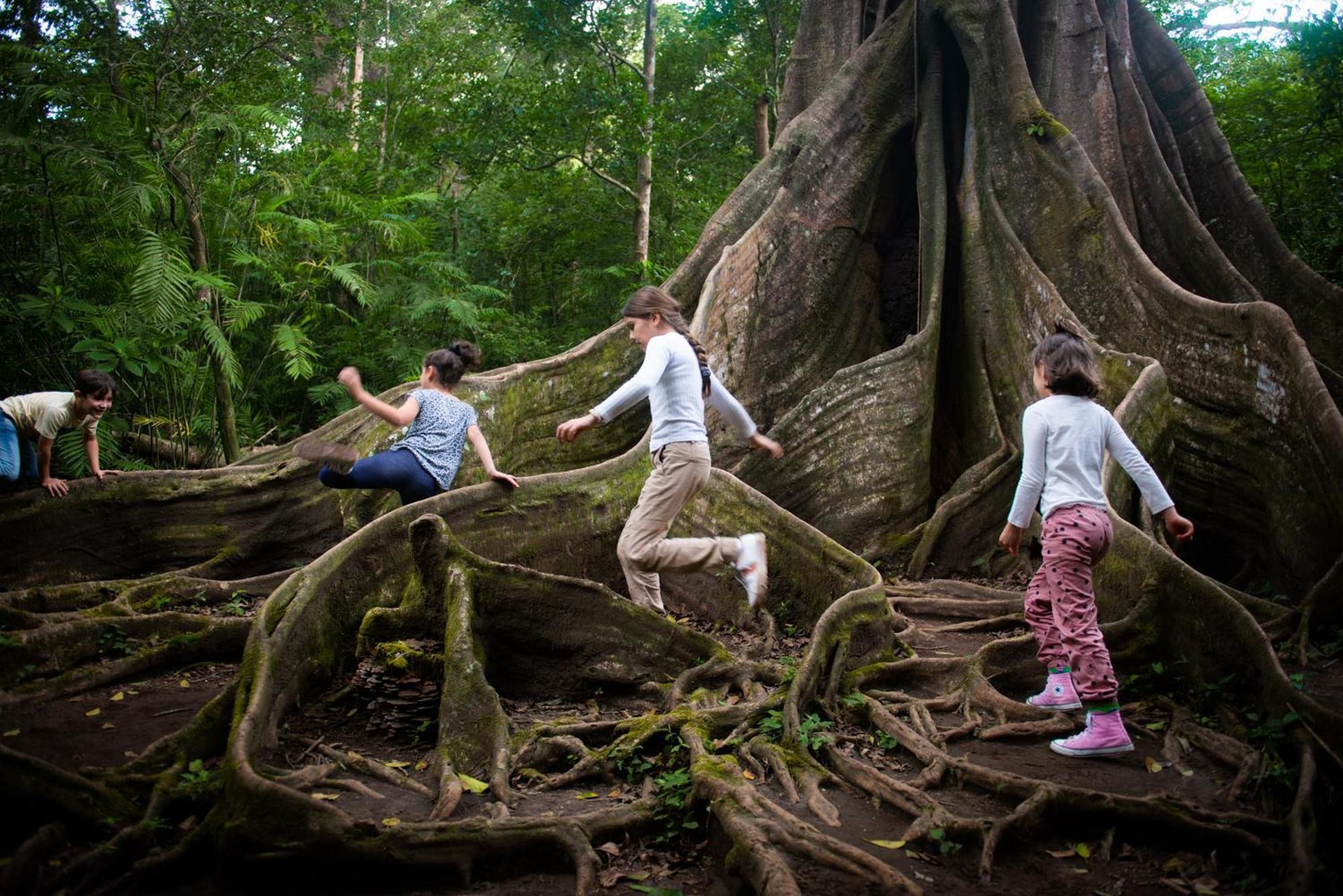 Lodge Buena Vista Del Rincon Eco Adventure Park & Spa