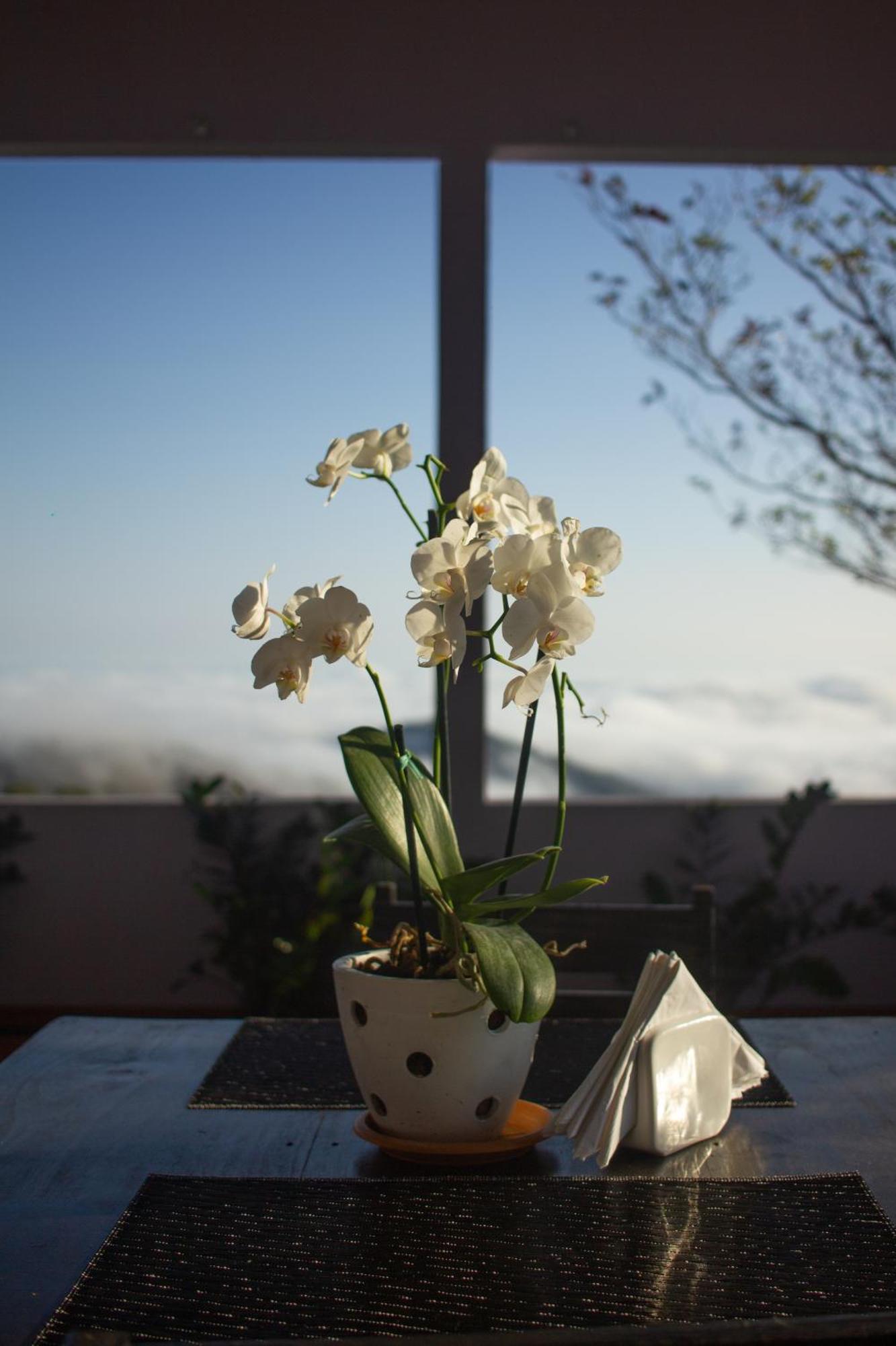 Lodge Hideaway 3 - Breakfast Included & Mountain View Nosara