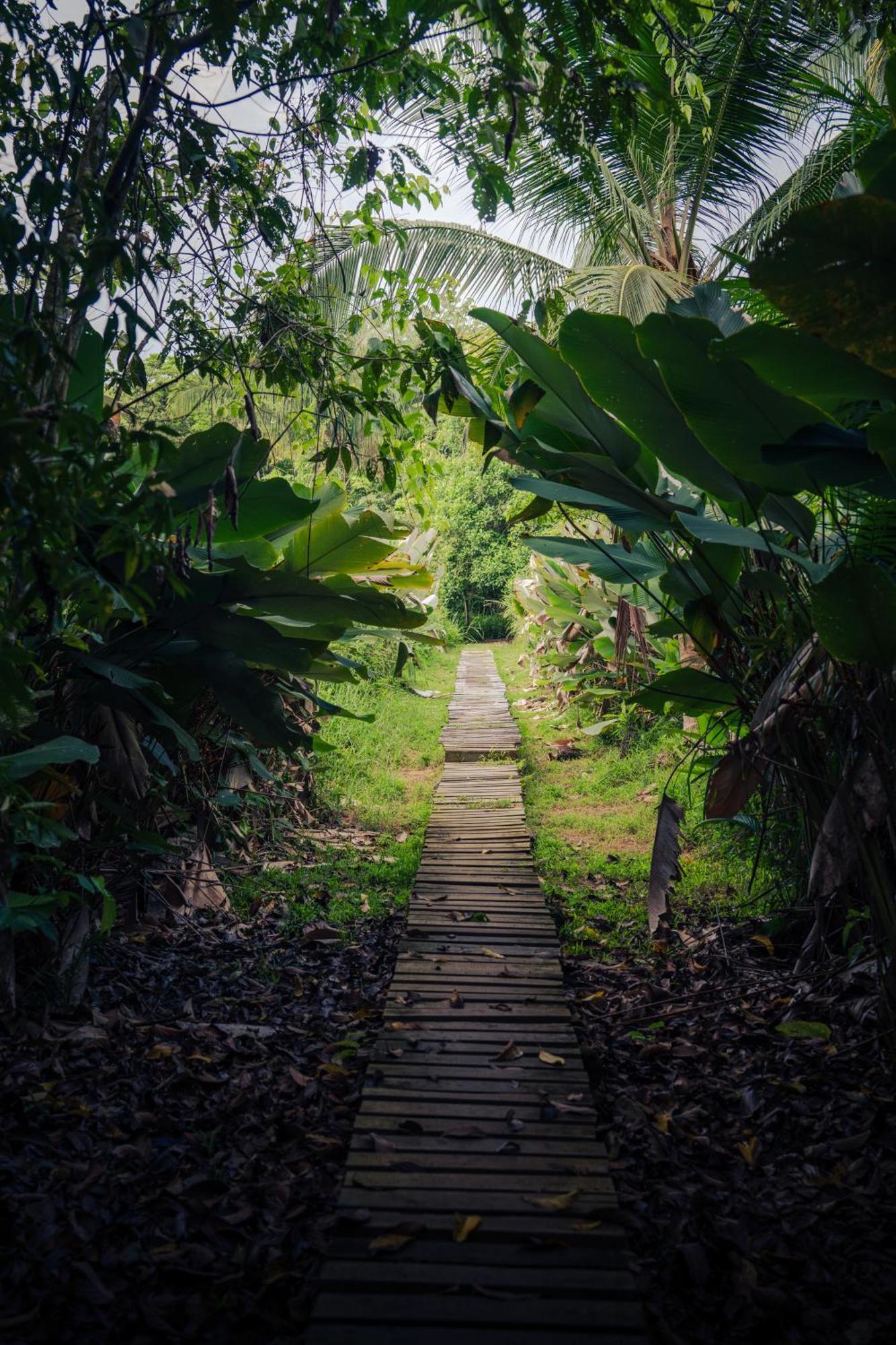 Lodge Hacienda Baru Dominical