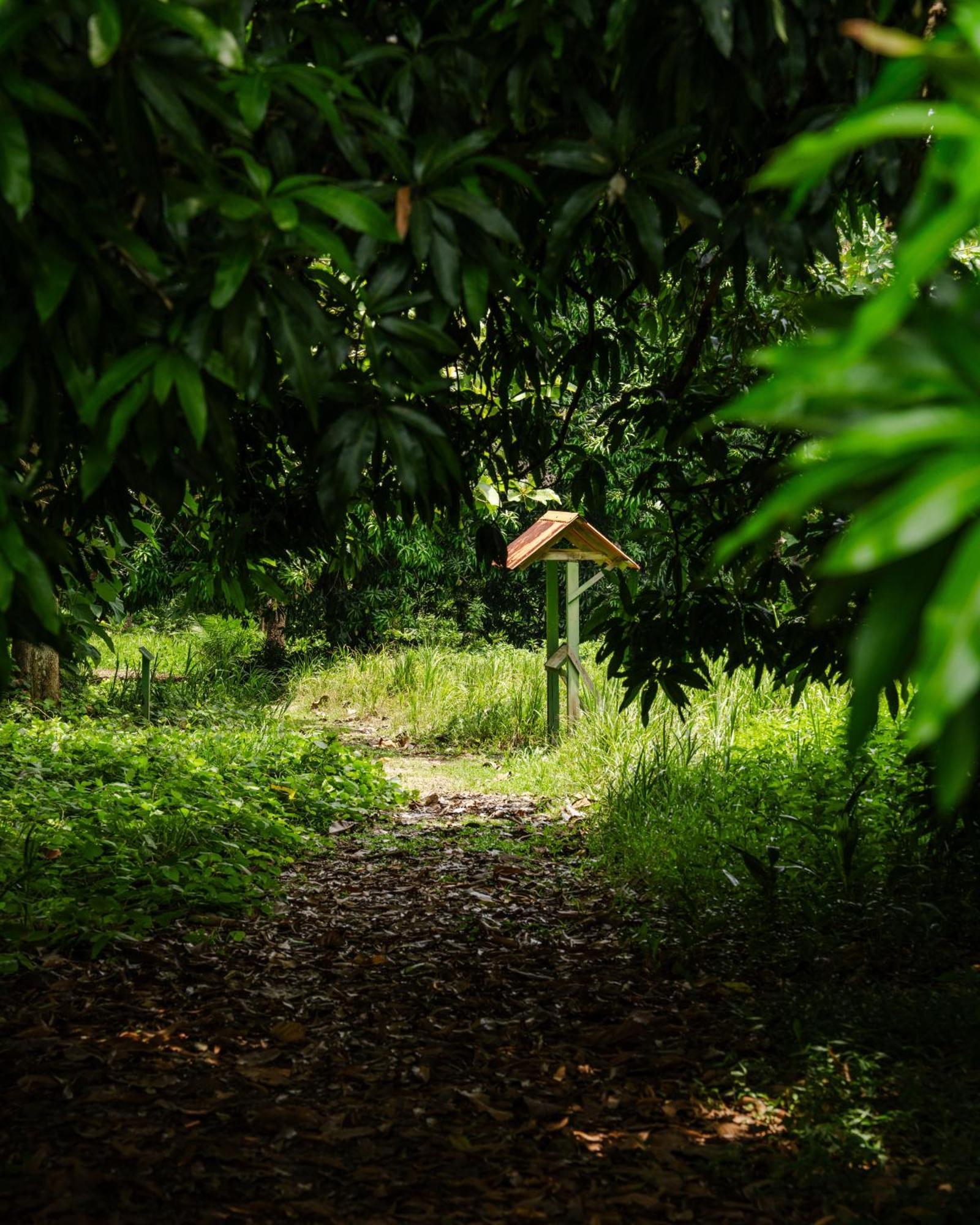 Hacienda Baru Dominical