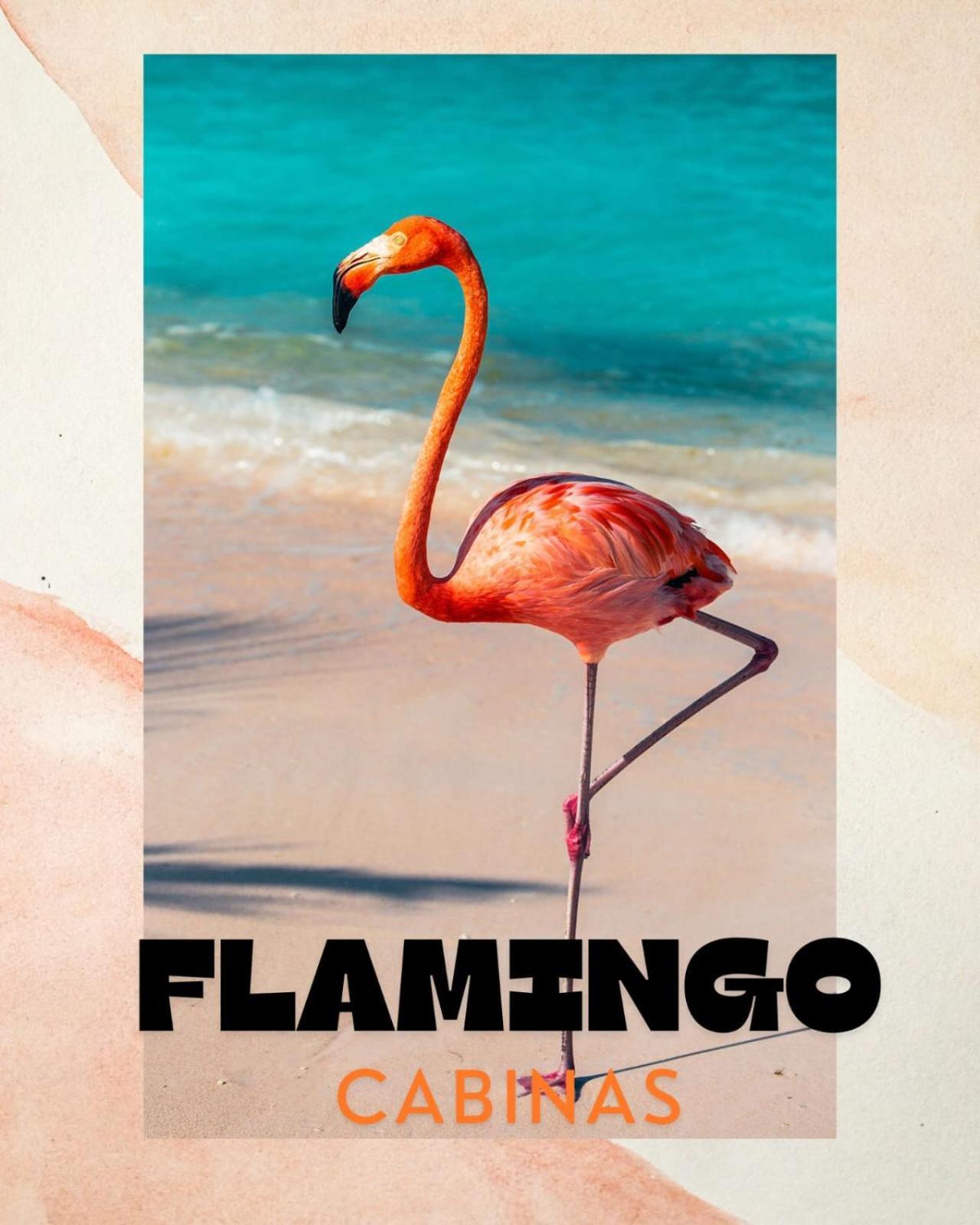 Cabinas Flamingo Guest house Playa Flamingo