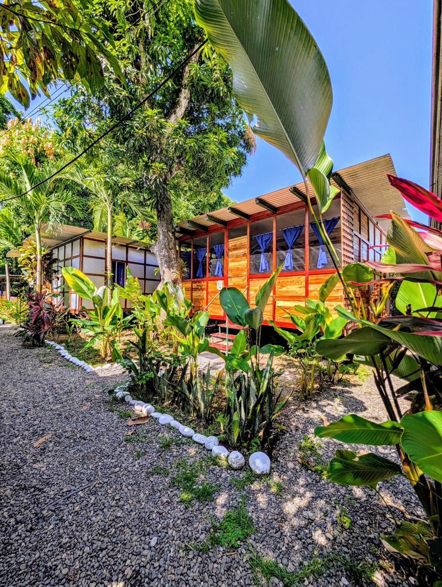 Arboura Eco * Uvita