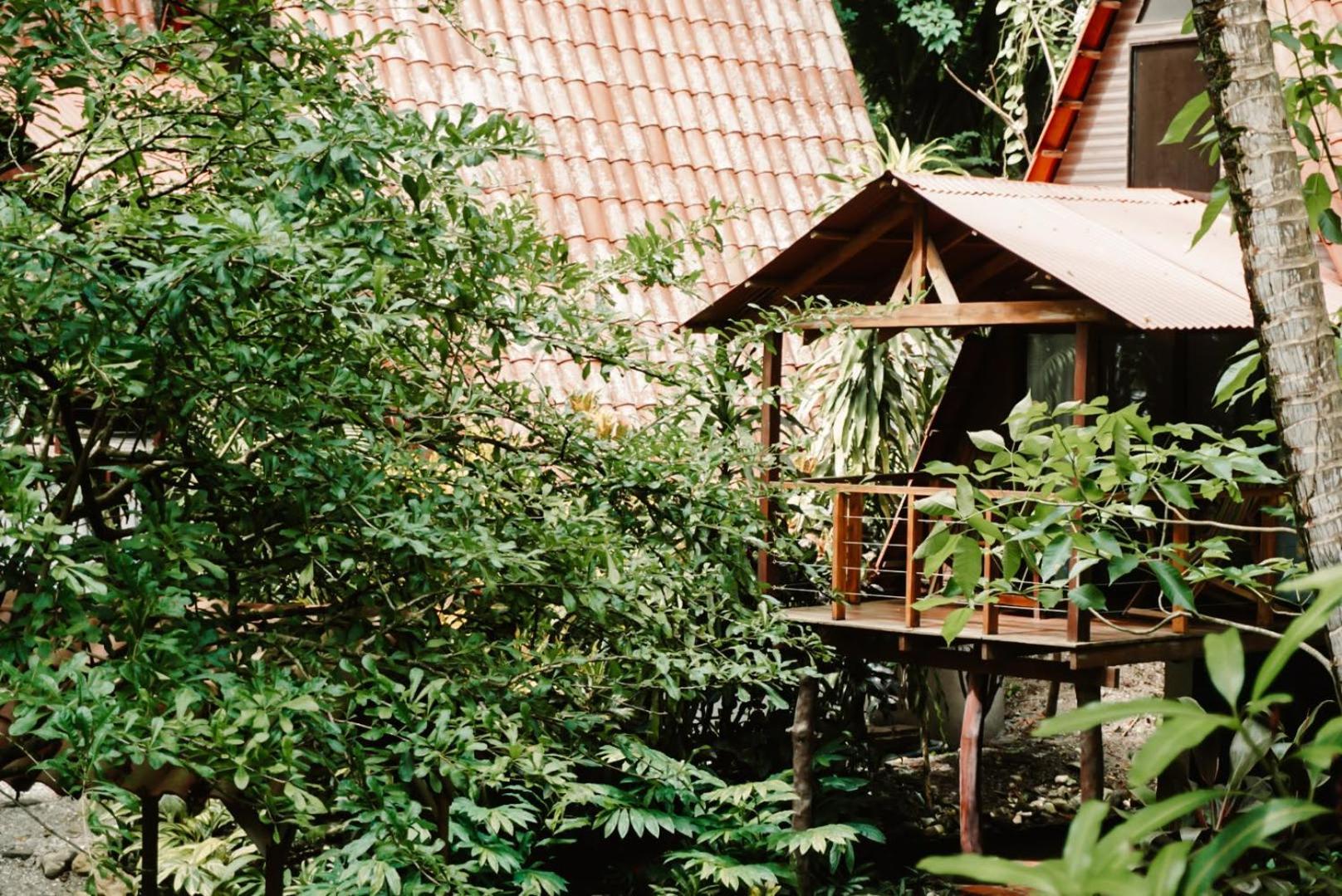 Calala * Cabuya (Puntarenas)