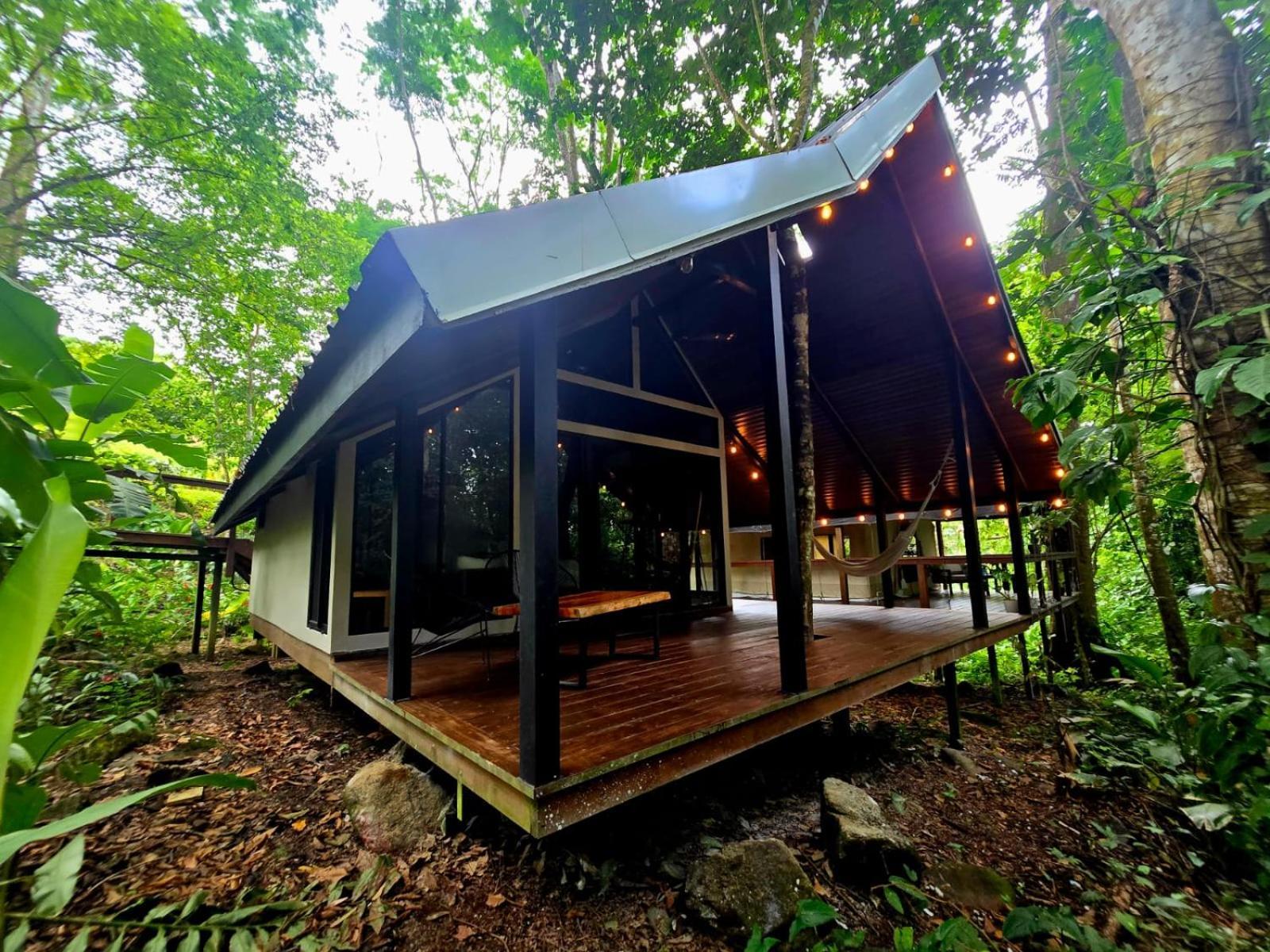 Jungle River Resort *