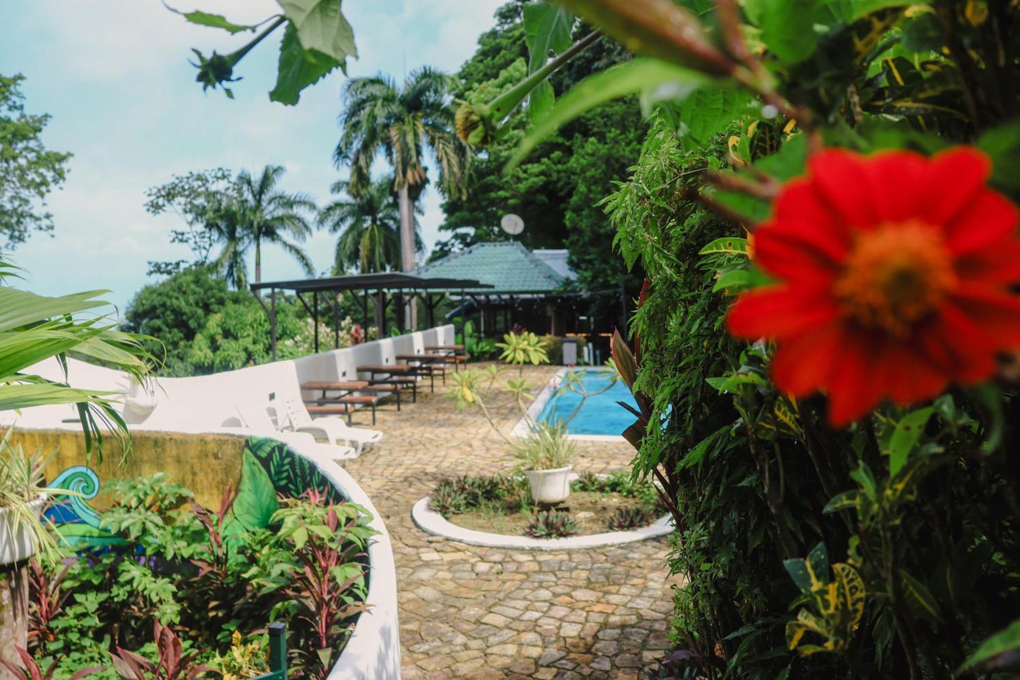 Plinio Hostel Manuel Antonio
