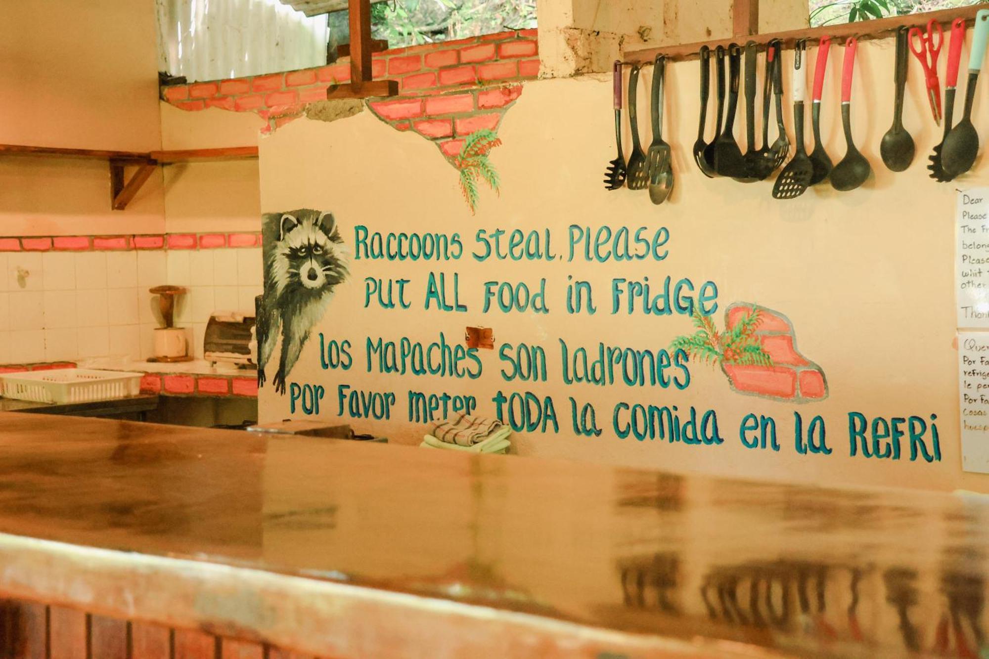 Plinio Hostel Manuel Antonio