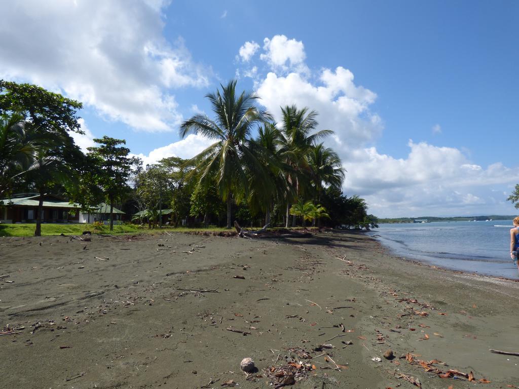 Corcovado Lodge *