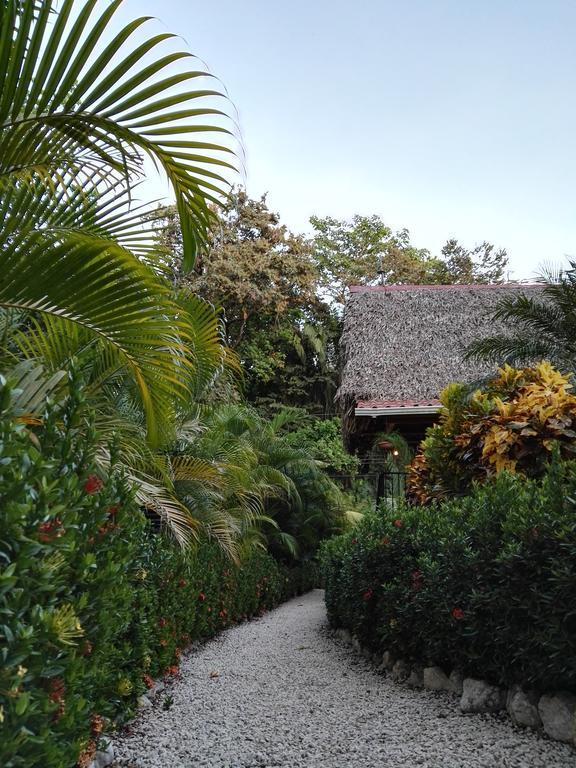 Aparthotel Paraiso Samara