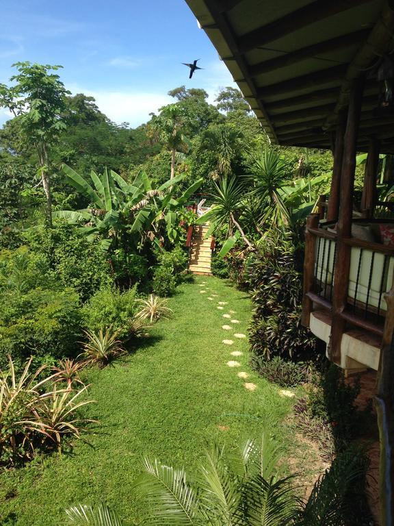 Mango Bed & Breakfast Nosara