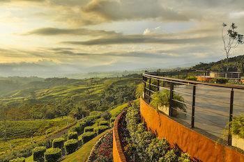 Hacienda Altagracia, Collection Resort Santa Elena (San Jose)