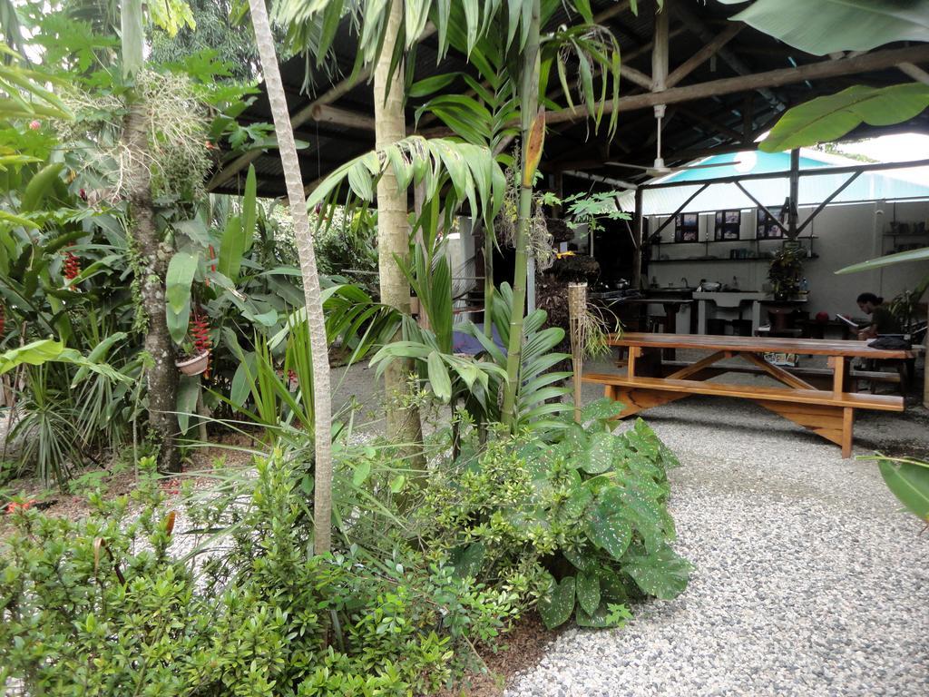 Cabinas Tropicales 3* Puerto Jimenez