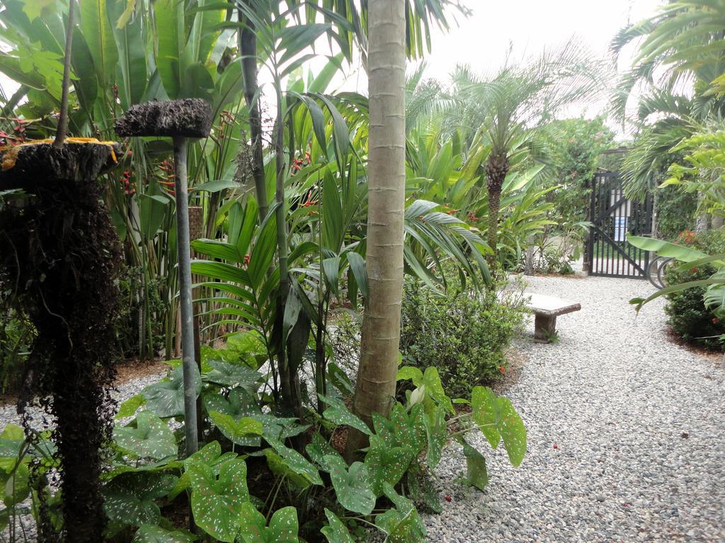 Cabinas Tropicales 3*